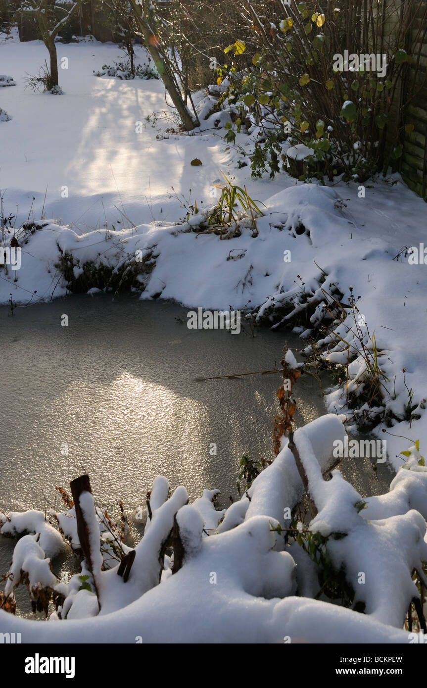 Jardin urbain après les chutes de neige AVEC LA FAUNE ÉTANG DE PETITS ARBRES ET D'UN TAS DE BOIS EN PREMIER PLAN NORFOLK UK NOVEMBRE Banque D'Images