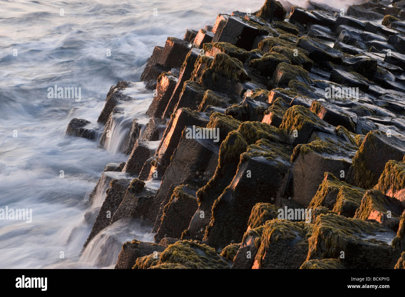 Giant's Causeway, Site du patrimoine mondial, des orgues basaltiques, comté d'Antrim, en Irlande du Nord Banque D'Images