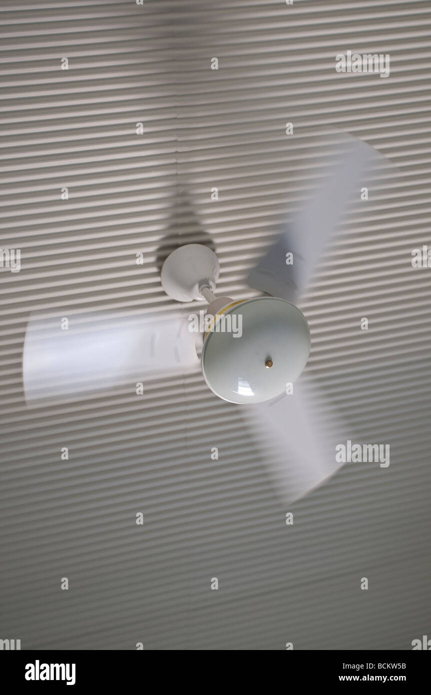 Ventilateur de plafond blanc spinning Banque D'Images