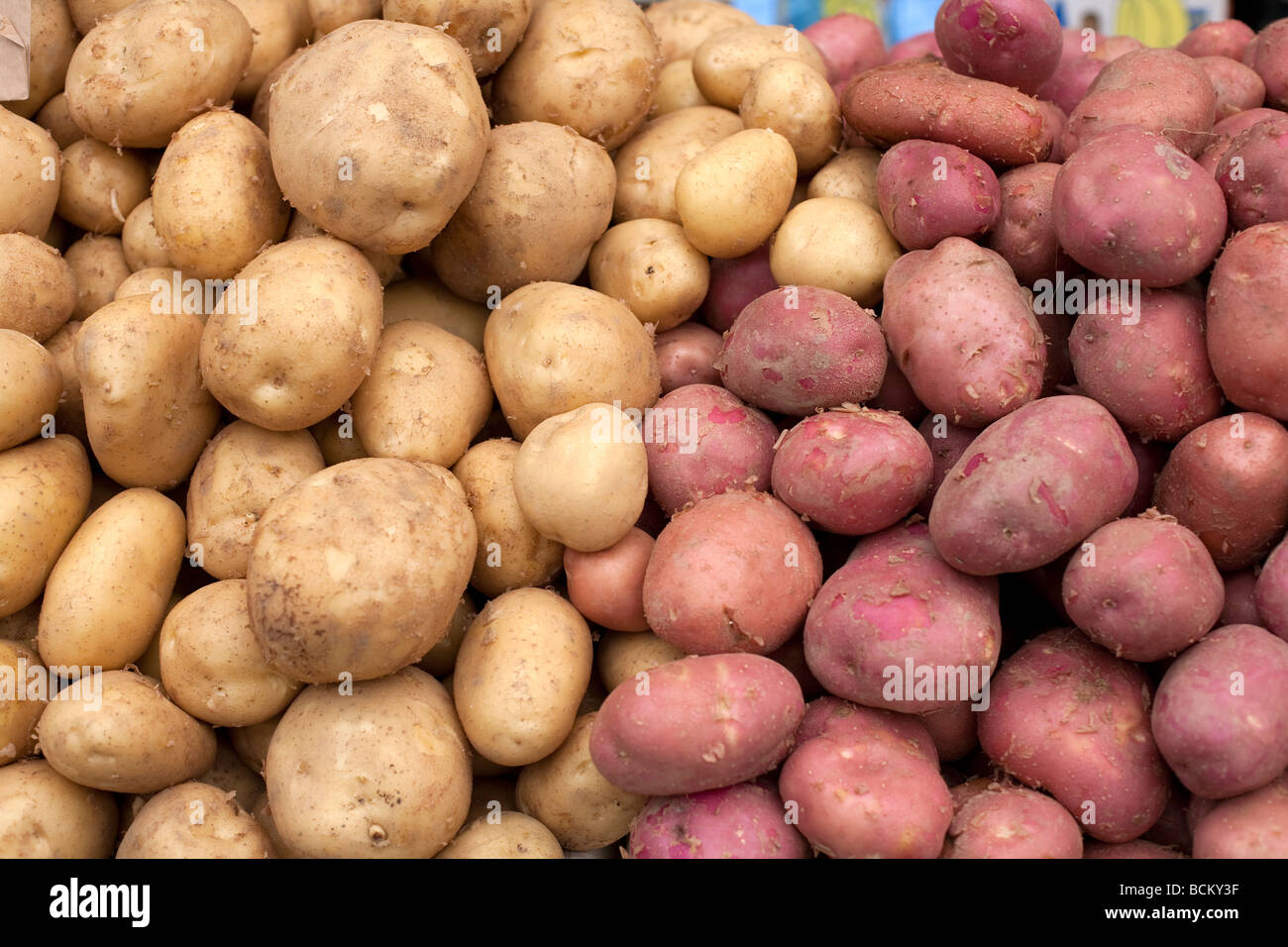 Les légumes cultivés naturellement vendus sur le marché de jeunes pommes de terre jaune et rouge Banque D'Images