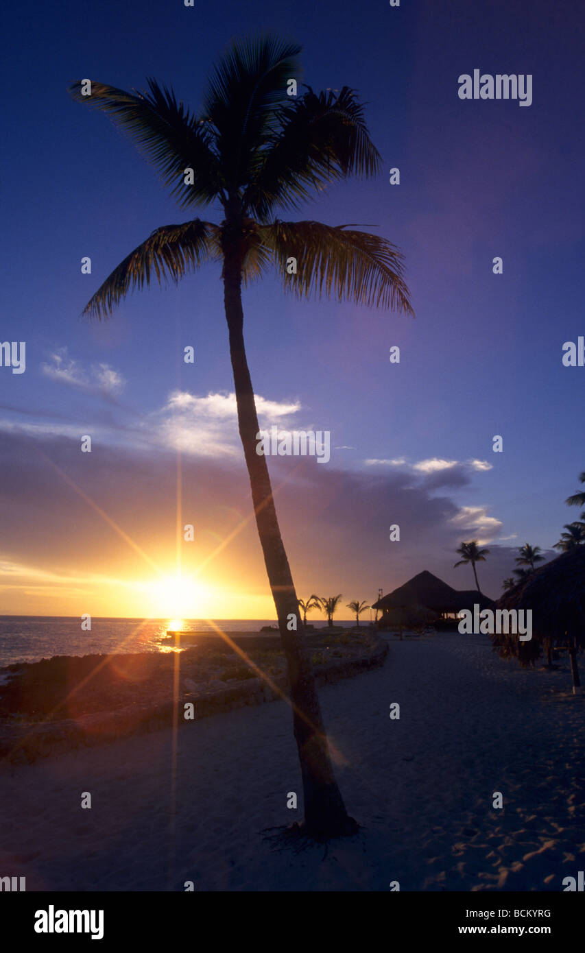 Coucher de soleil avec des palmiers sur la plage de Bayahibe - Caraïbes ...