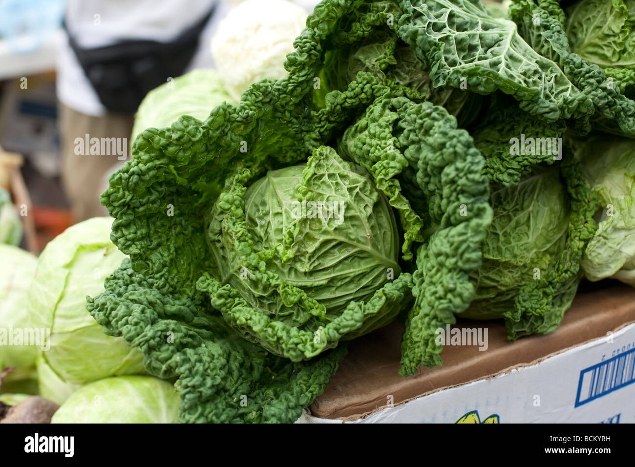 Les légumes cultivés naturellement vendu au marché kale Banque D'Images