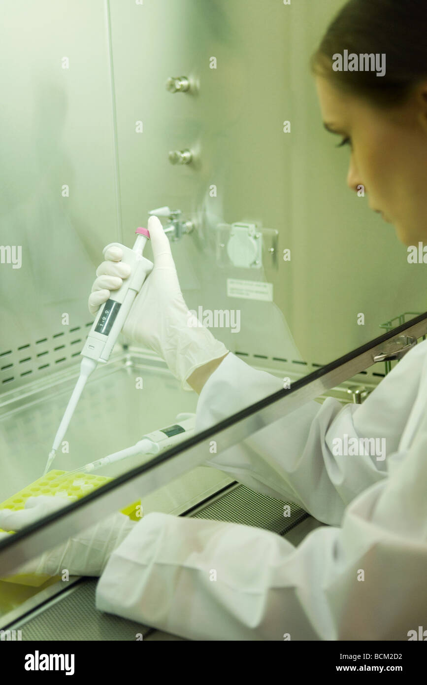 Female scientist working in laboratory, side view Banque D'Images
