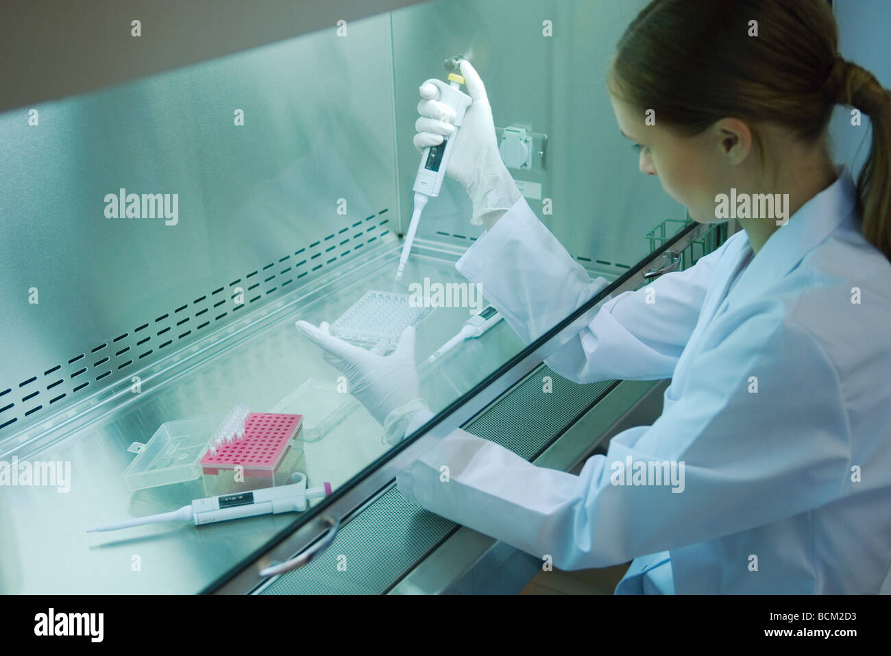 Female scientist working in laboratory, side view Banque D'Images