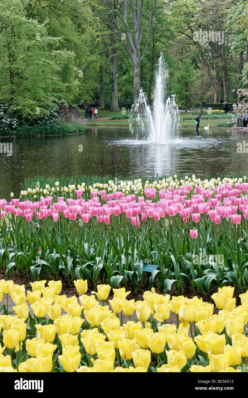 Jardin de Keukenhof, Lisse, Hollande méridionale, Pays-Bas Photo Stock -  Alamy