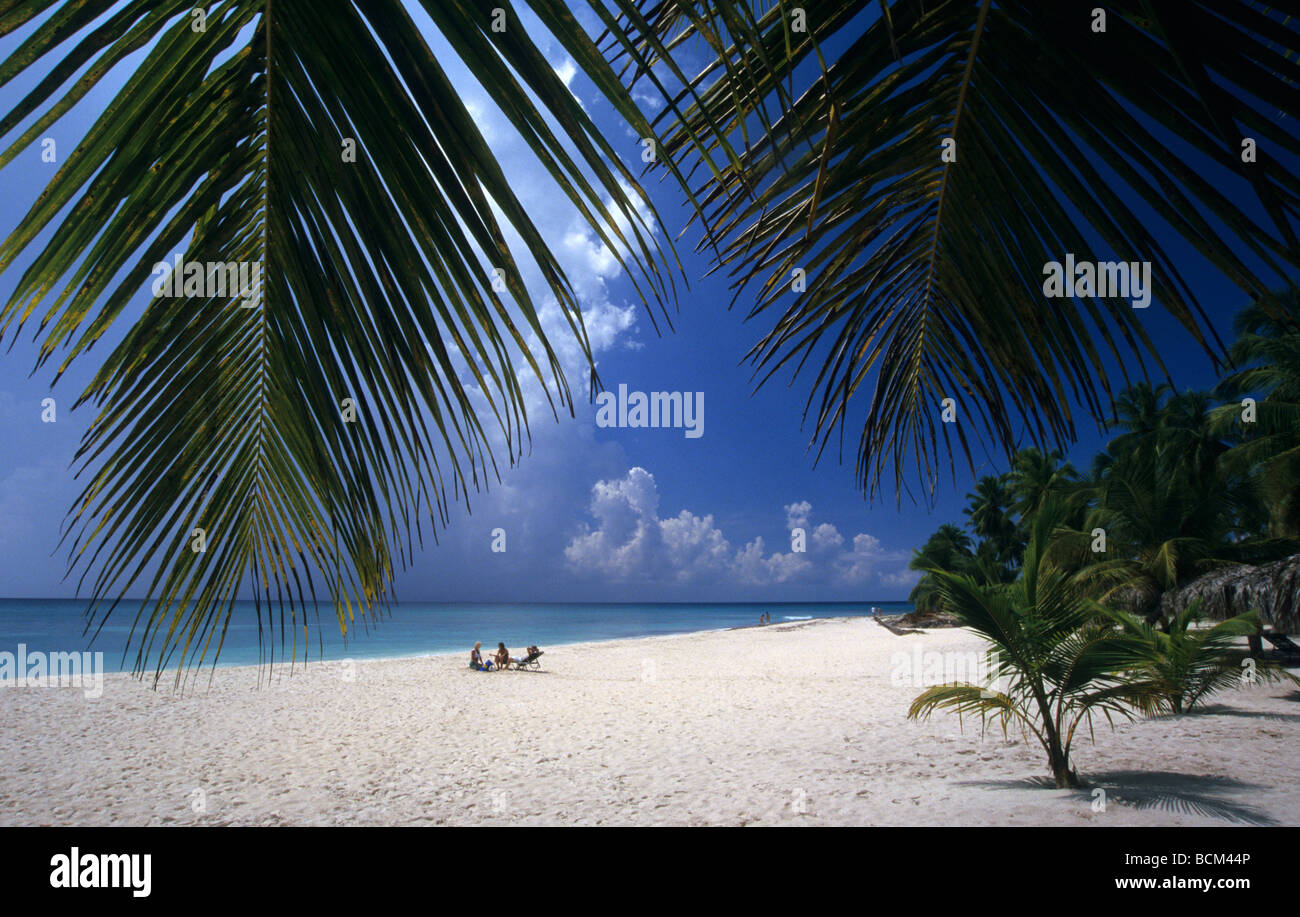 Caraïbes - République Dominicaine - Plage de l'île de Saona Banque D'Images