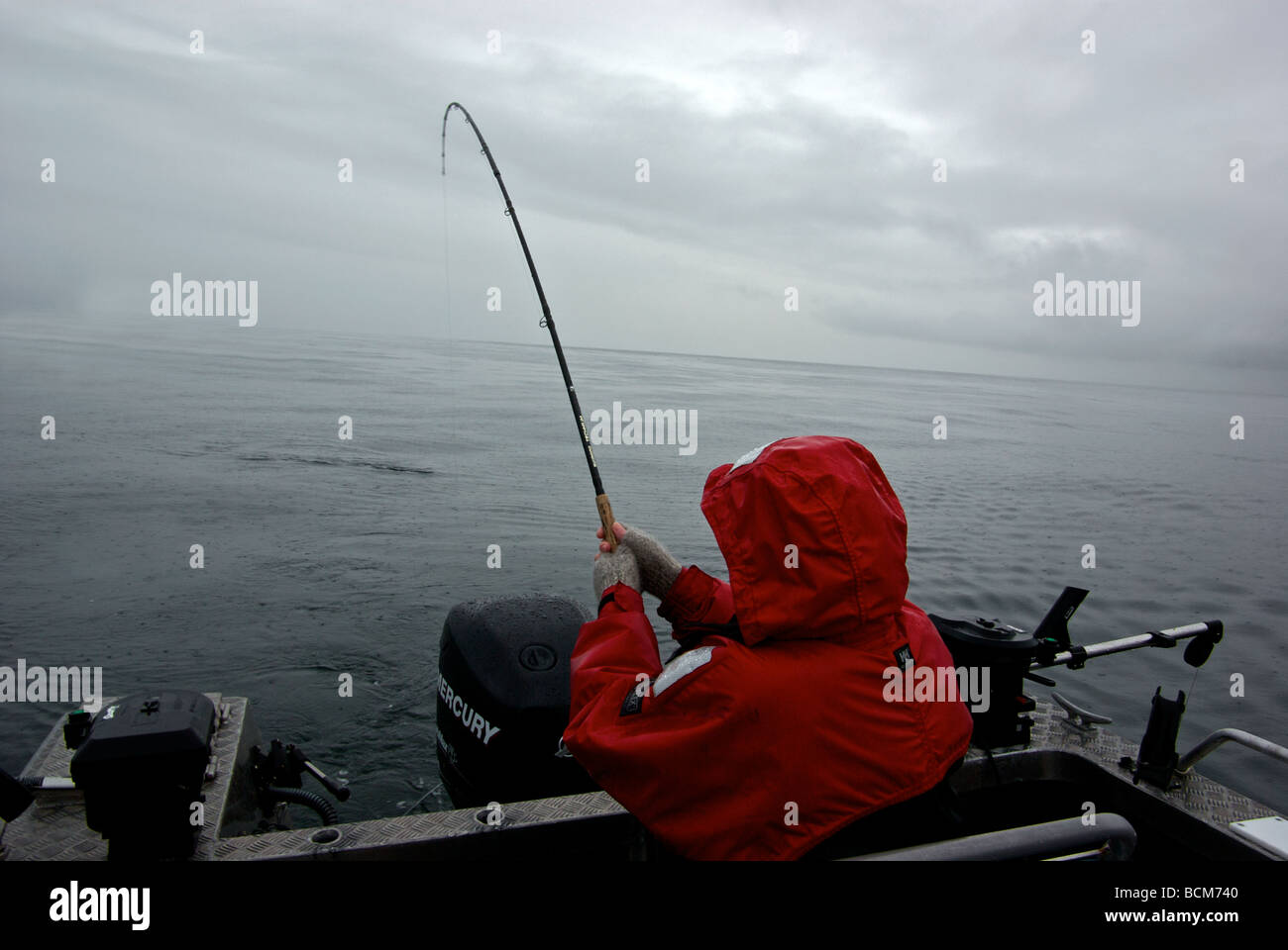 Femme jouant du saumon dans l'océan pacifique ouvert tôt le matin lors d'une forte bourrasque de pluie Haida Gwaii Banque D'Images