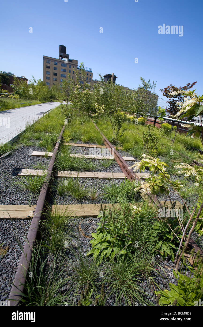 Le parc High LIne, Chelsea, Manhattan, New York Banque D'Images