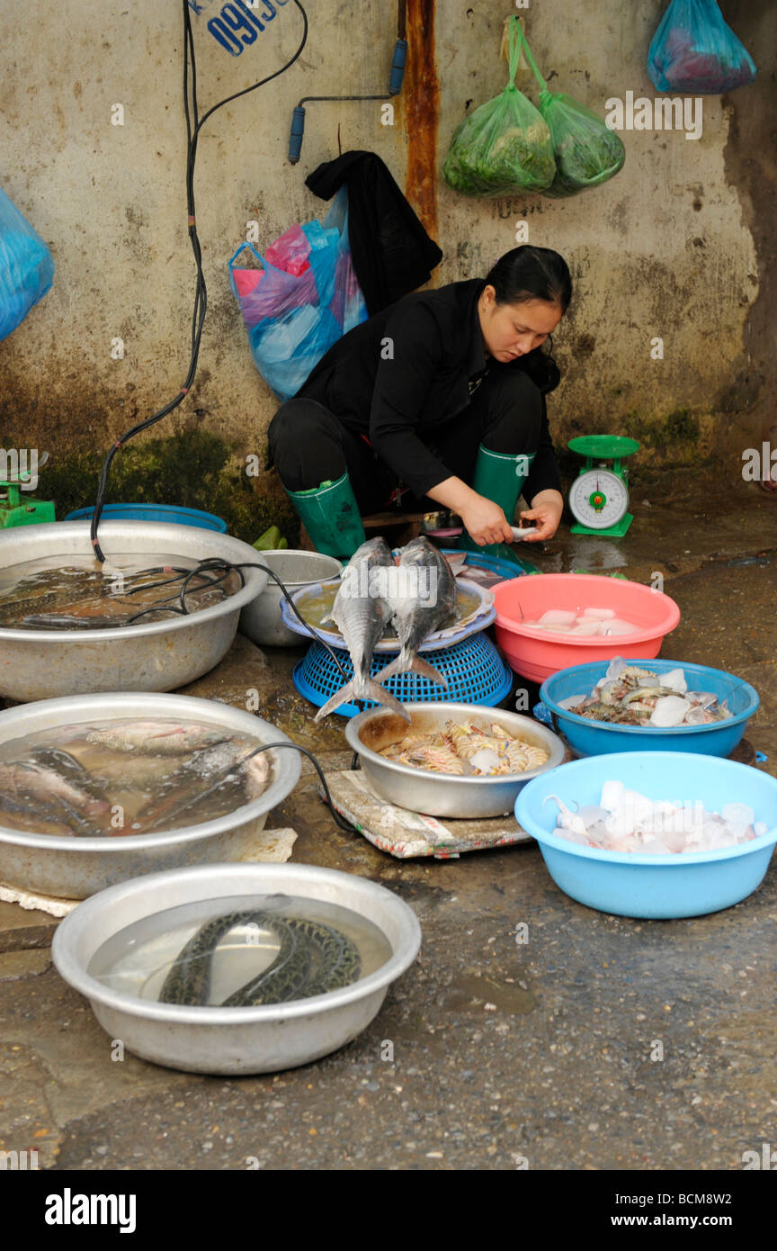 Vendeur de poisson au marché du frais matin dans Vieux Quartier, Hanoi, Vietnam. Banque D'Images