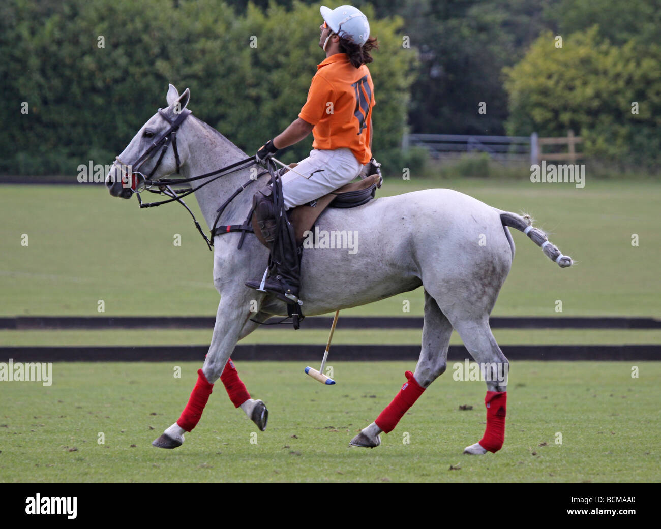 Polo player sur un poney de polo gris Photo Stock - Alamy