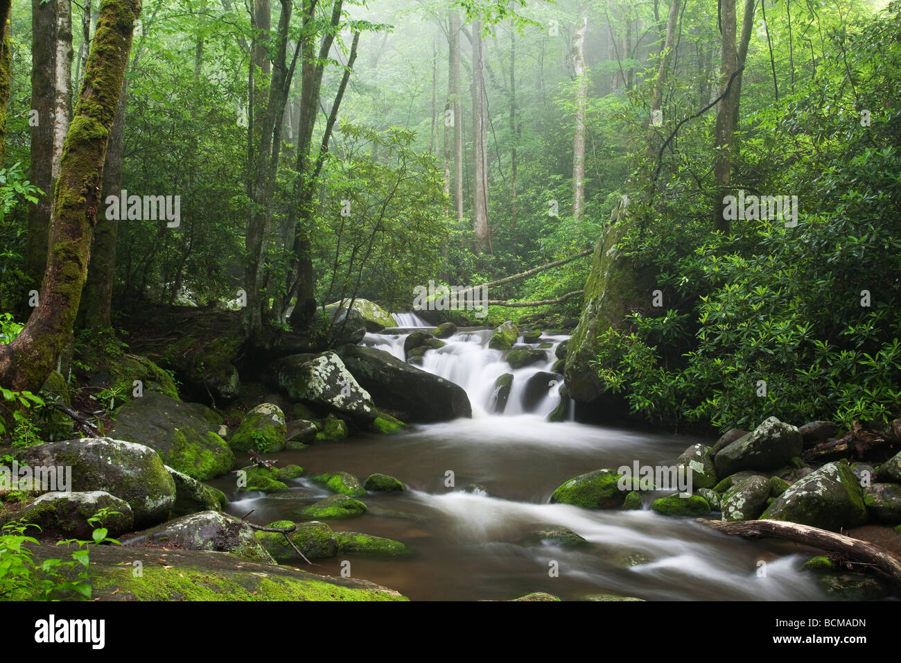 Pittoresque de détente le long de la Roaring Fork Motor Tour dans le Great Smoky Mountains National Park Banque D'Images