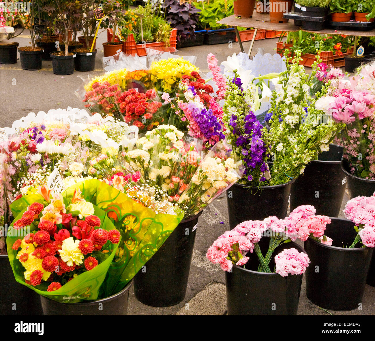 Fleur d'un stand au marché de l'agriculteur jeudi dans le typique marché anglais ville de Devizes Wiltshire England UK Banque D'Images