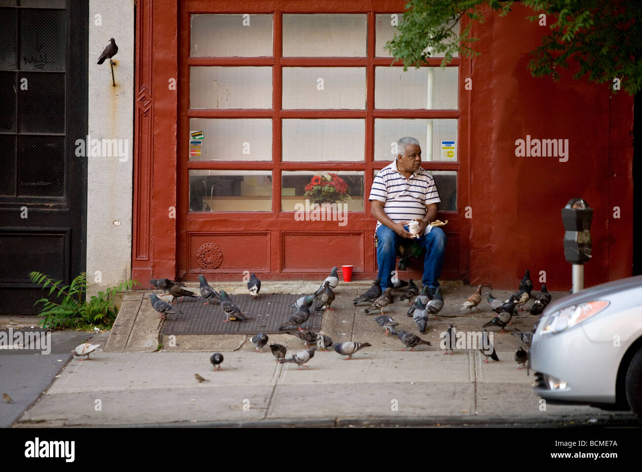 Homme nourrir les pigeons sur la rue de Brooklyn, NY, USA Banque D'Images