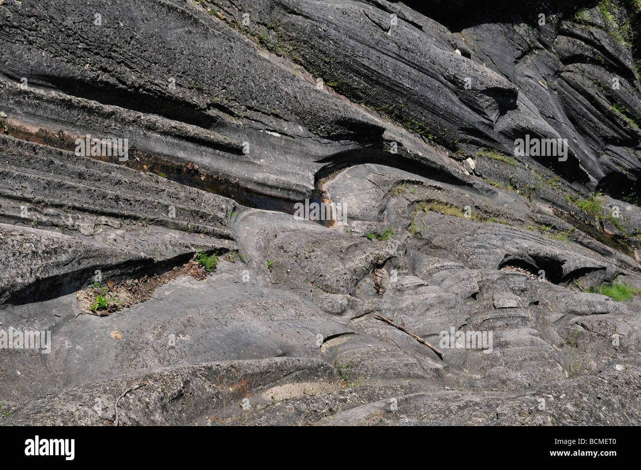 Rainures glaciaires couper dans la pierre calcaire à Kelleys Island State Park Banque D'Images