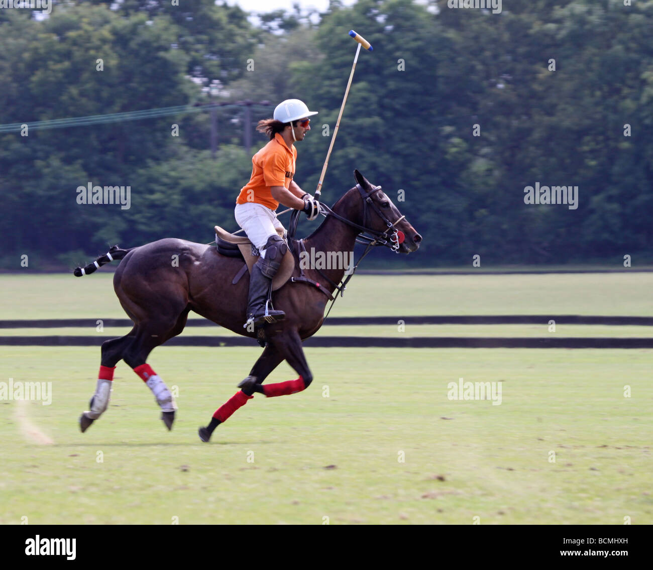 Polo player courir après la balle Banque D'Images