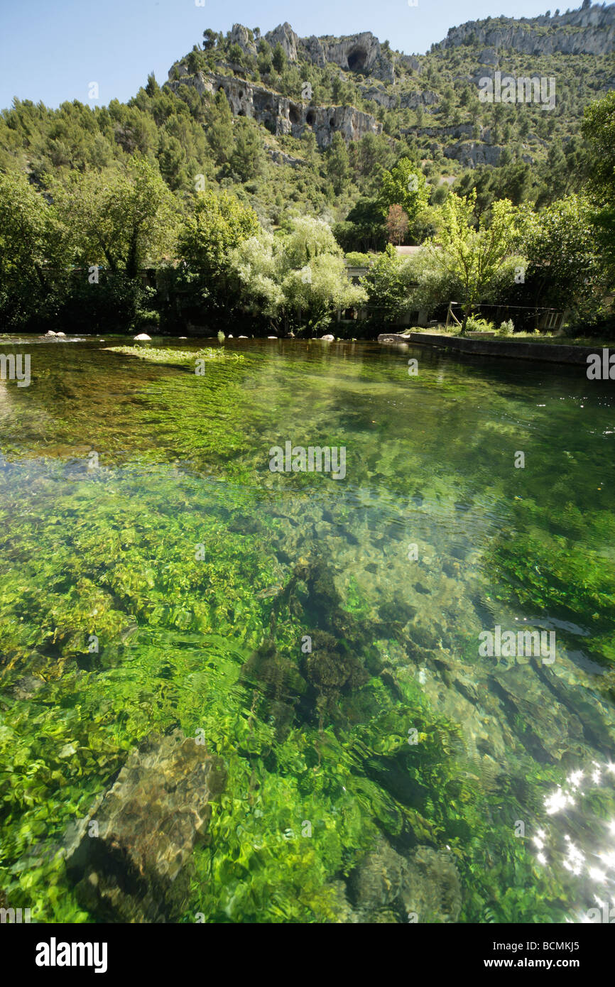 Sorgue proche de sa source près de Fontaine de Vaucluse Provence France Europe Banque D'Images