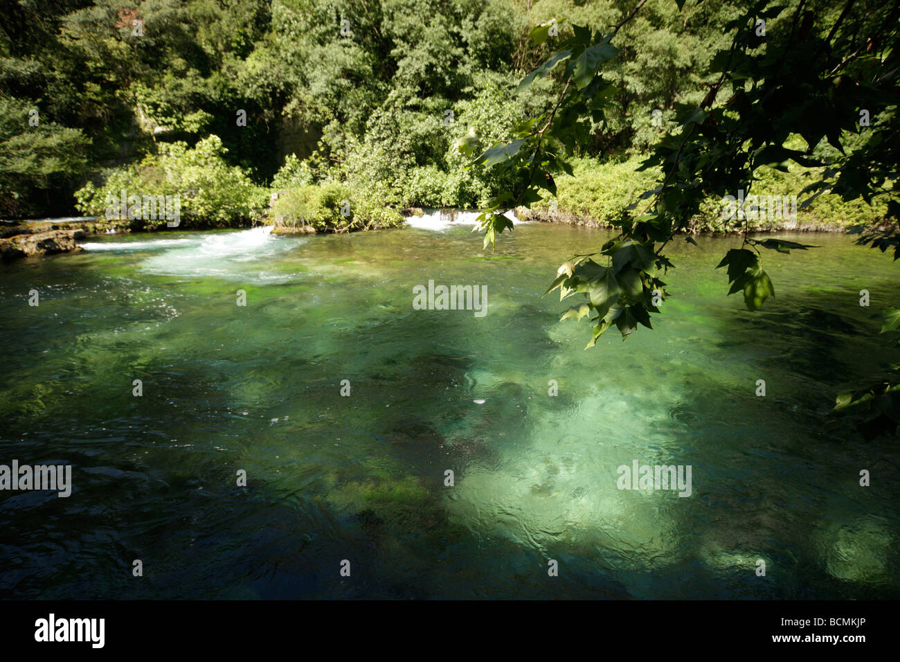 Sorgue proche de sa source près de Fontaine de Vaucluse Provence France Europe Banque D'Images