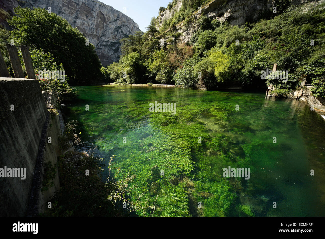 Sorgue proche de sa source près de Fontaine de Vaucluse Provence France Europe Banque D'Images