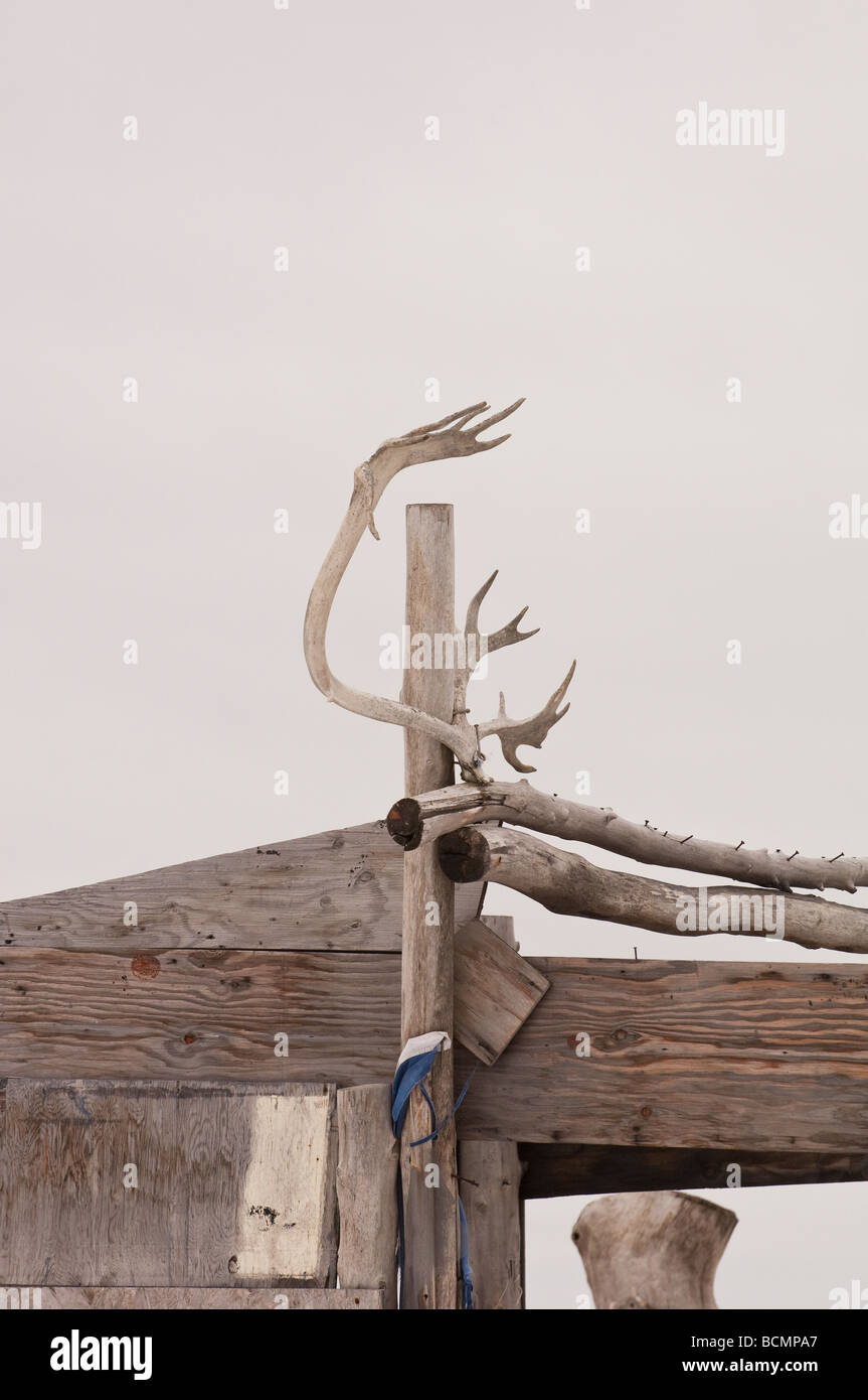 Bois de caribou ACCROCHER SUR UNE CABANE DE PÊCHE LE LONG DE LA MER DE BÉRING Banque D'Images