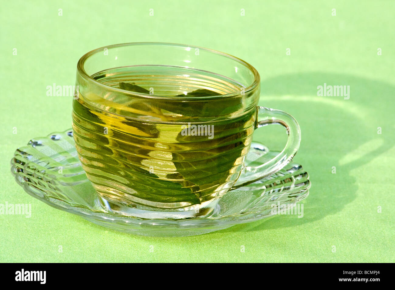 Close-up of herbal tea Banque D'Images