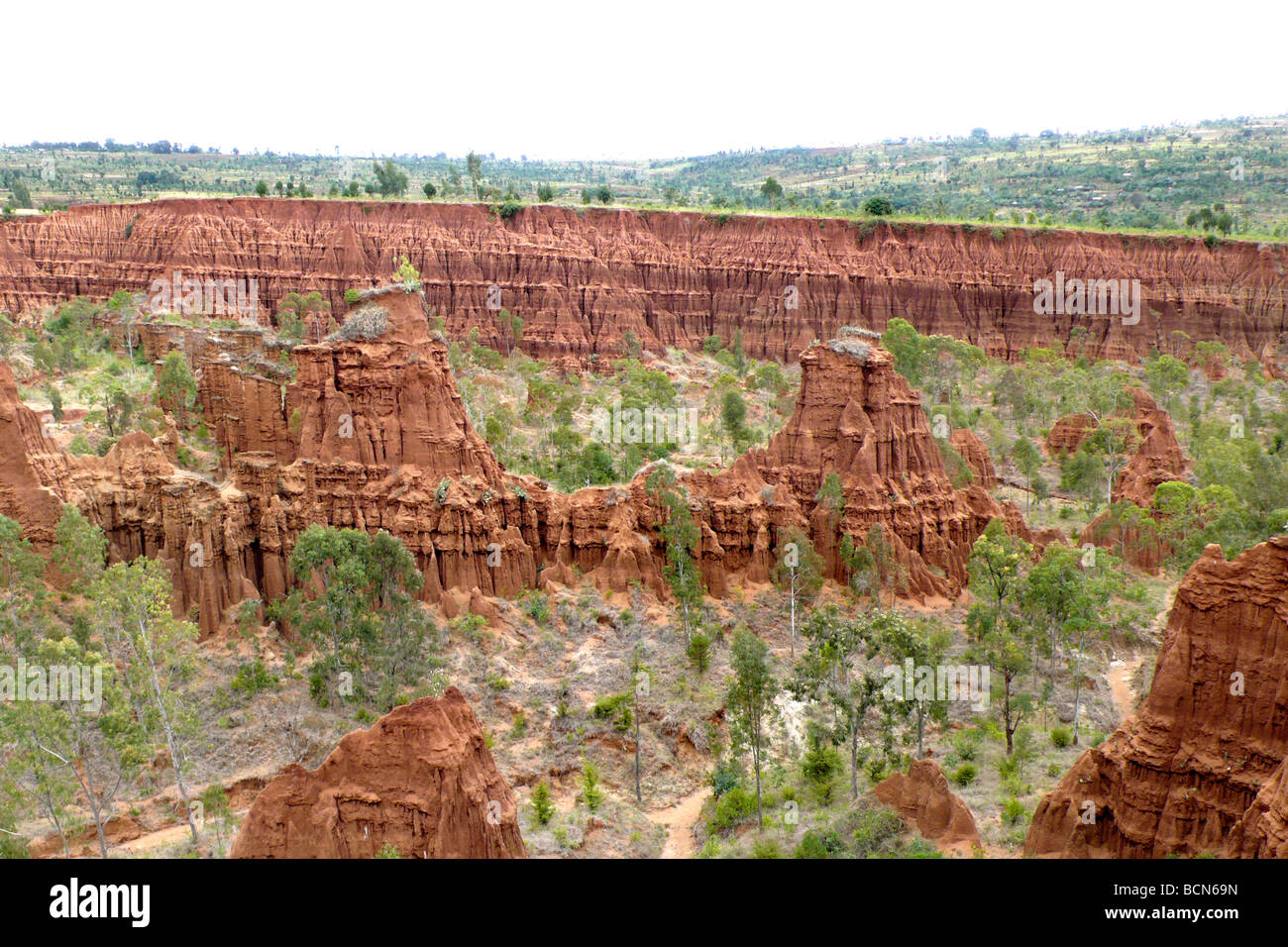 Vallée de l'Omo Ethiopie peuple konso canyon new york Banque D'Images