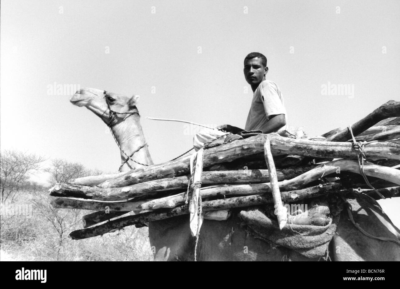 Le kordofan sud des monts Nuba du Soudan Banque D'Images