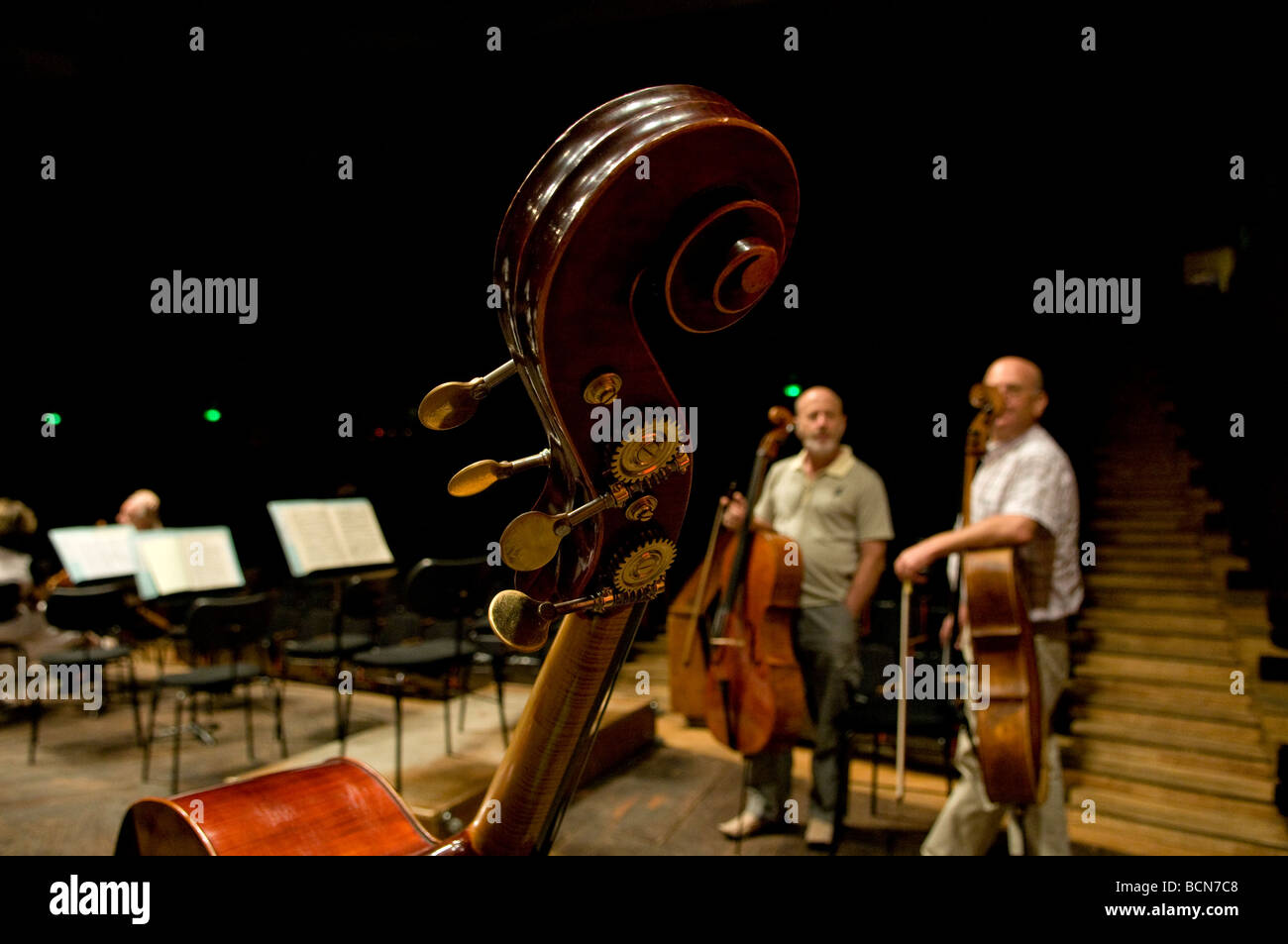 Les joueurs de violoncelle de l'Orchestre philharmonique d'Israël dans l'Auditorium Mann Tel Aviv ISRAËL Banque D'Images