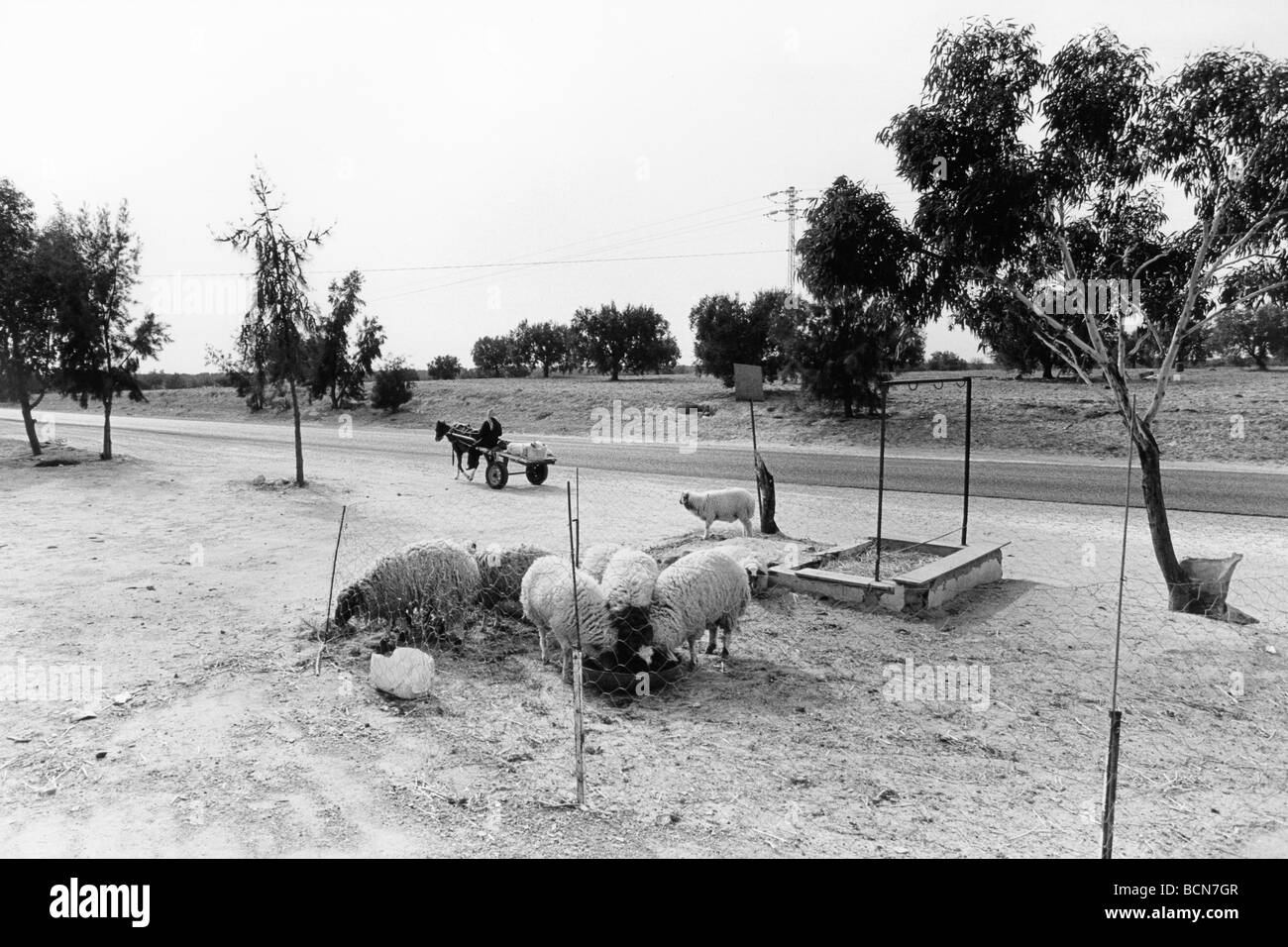 Tunisie kairouan Banque D'Images