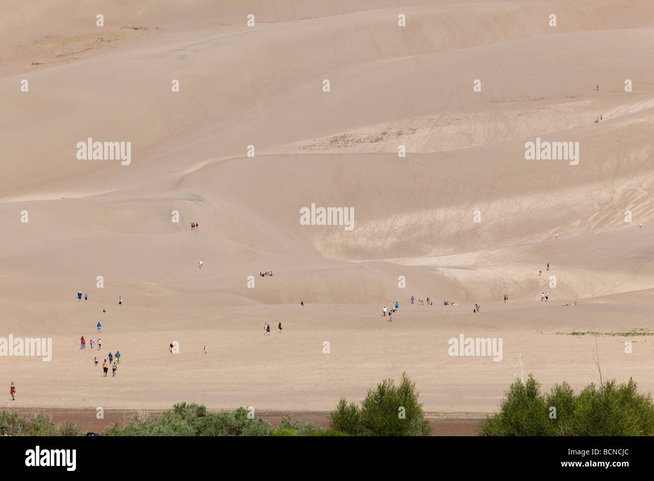 Mosca Colorado Personnes randonnée sur les dunes de Great Sand Dunes National Park Banque D'Images