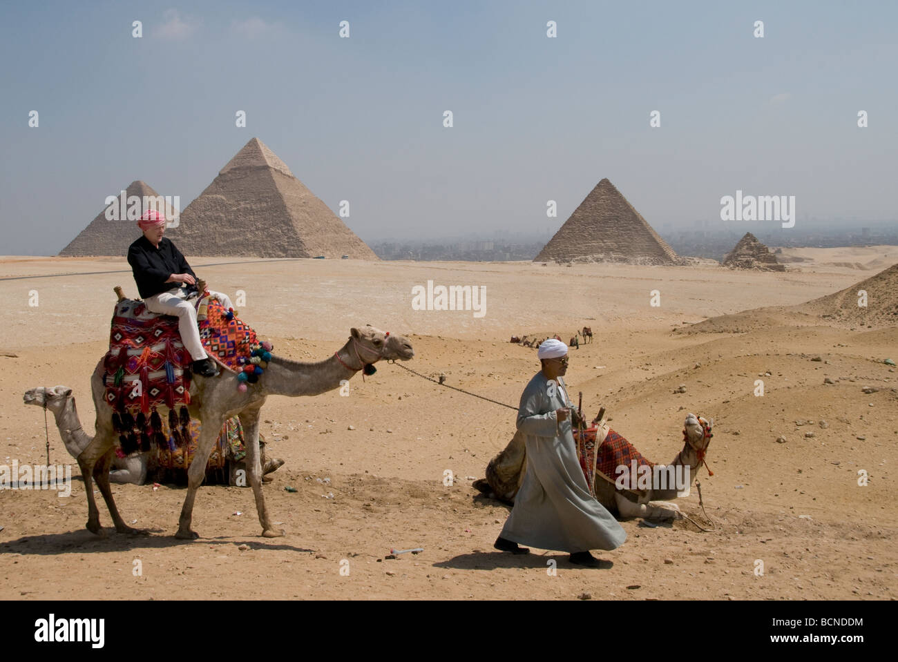 Pyramides de Gizeh pyramide de Khéops Égypte Caire Camel Banque D'Images