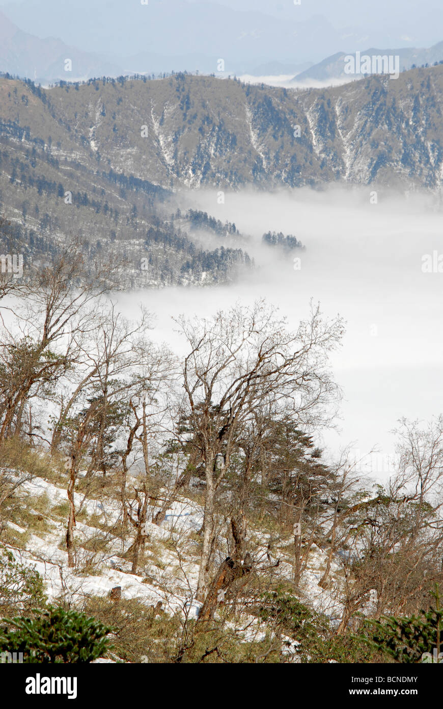 Vue de la formation des nuages d'Riyueping Xiling, Snow Mountain, Dayi County, province du Sichuan, Chine Banque D'Images