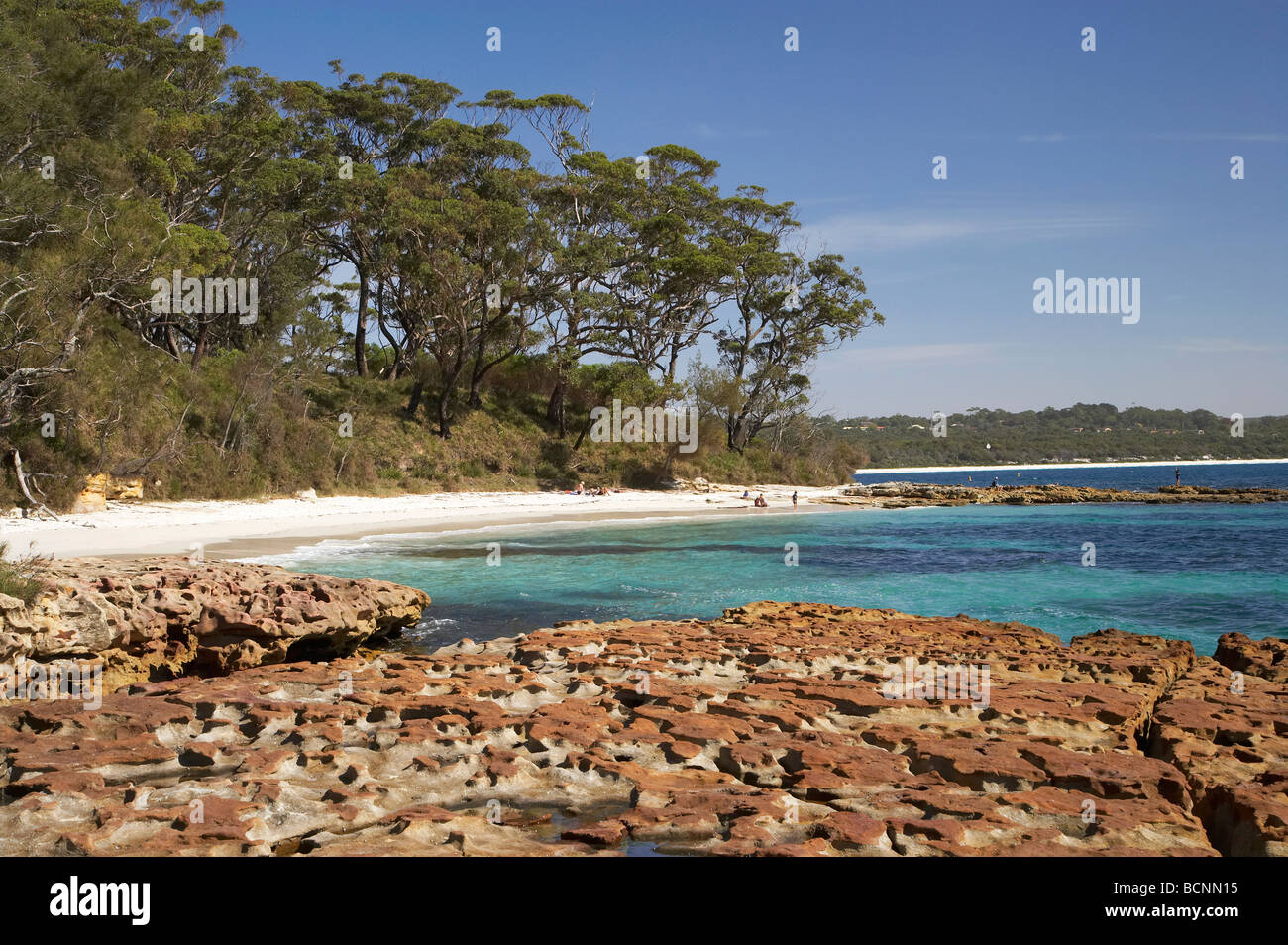 La plate-forme de roche et la plage à Bristol Point près de Green Patch Beach Parc National Booderee Jervis Bay Territory Australie Banque D'Images