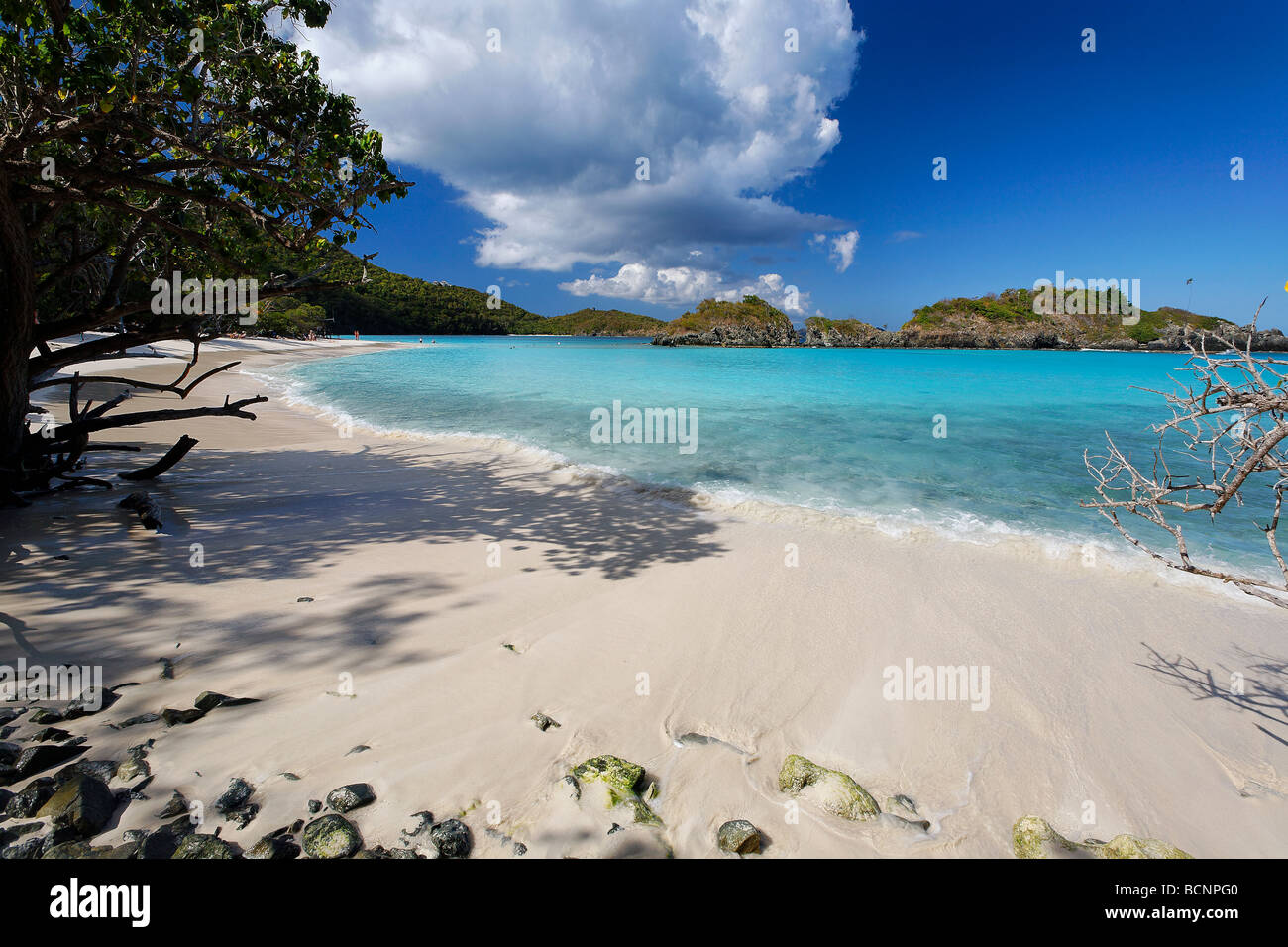 Coin isolé d'un Trunk Bay Plage St Jean US Virgin Islands Banque D'Images