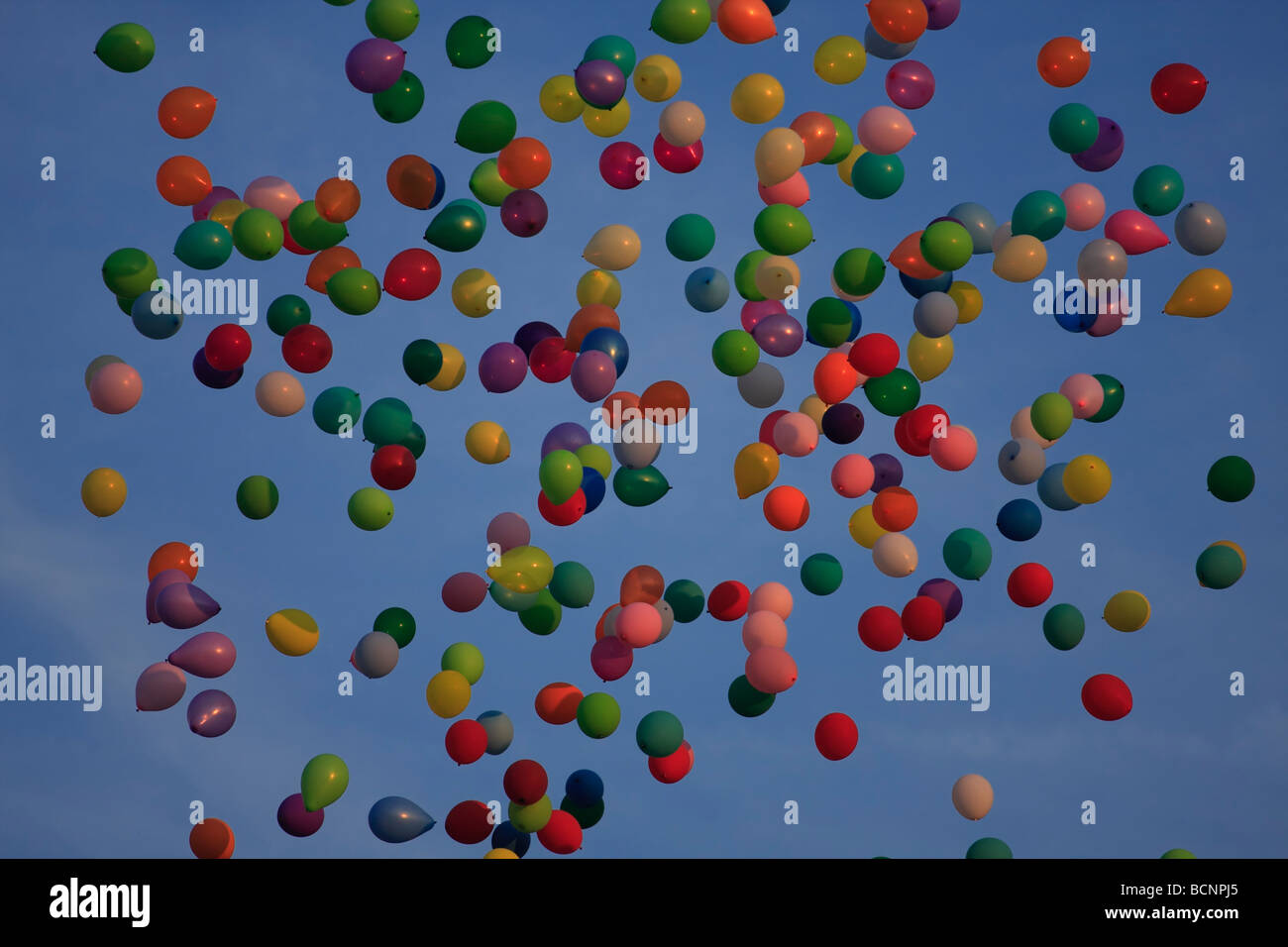 Des ballons remplis d'hélium s'envoler contre un ciel bleu. Banque D'Images