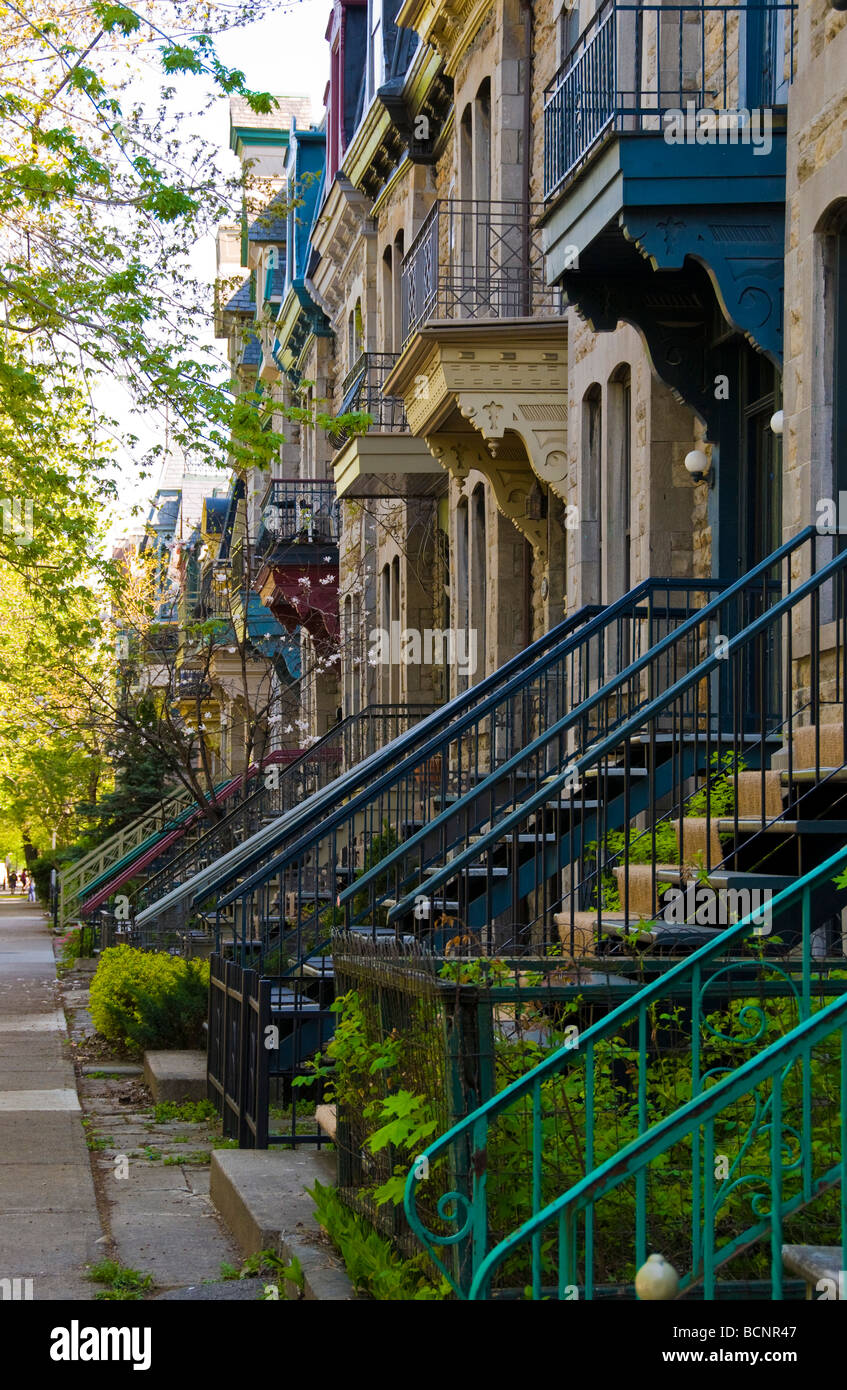 Rangée de maisons typiques avec escaliers en Plateau Mont Royal Montréal Québec Canada Banque D'Images