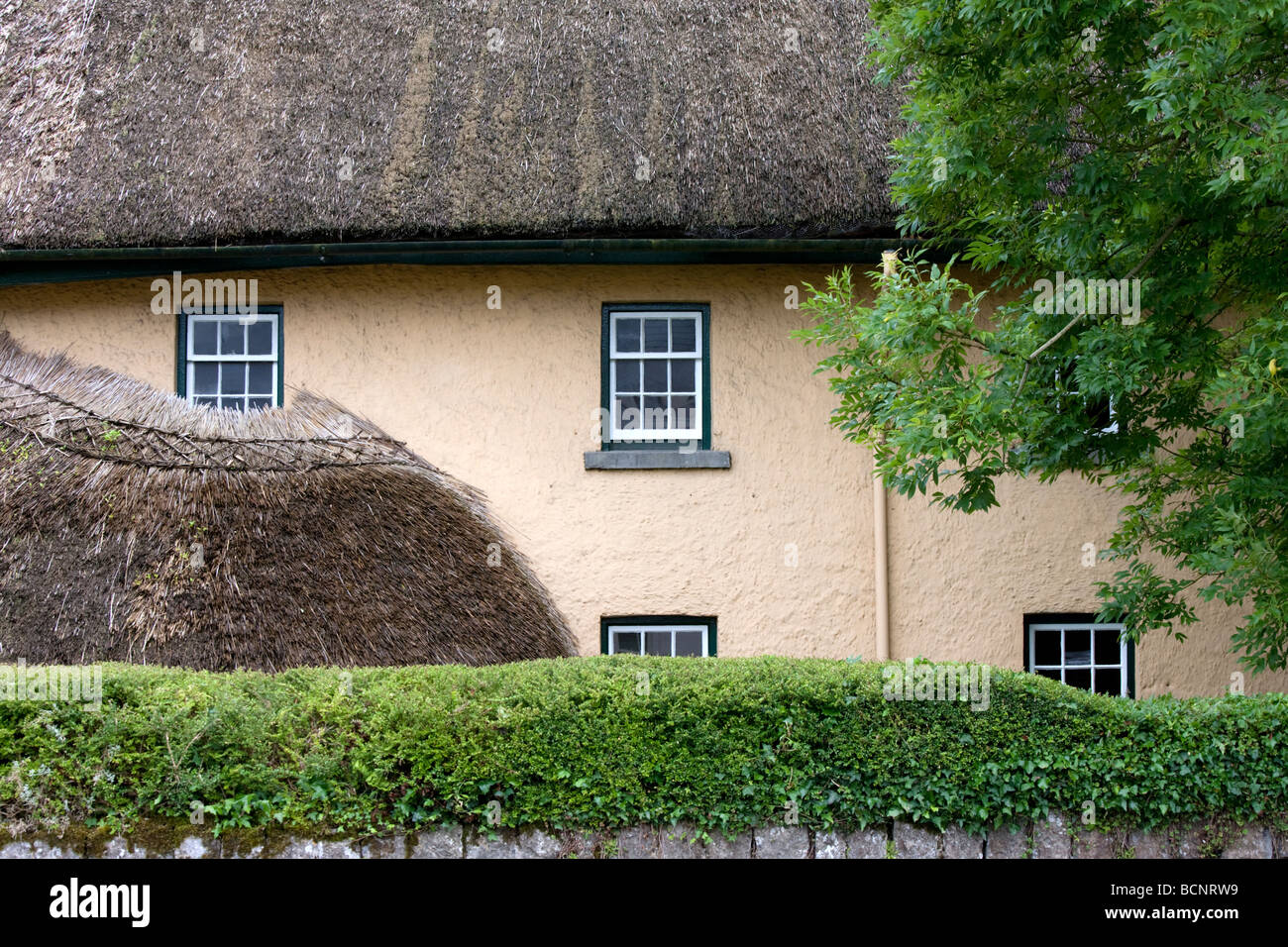 Détail de thatch cottage en Irlande Adare Banque D'Images