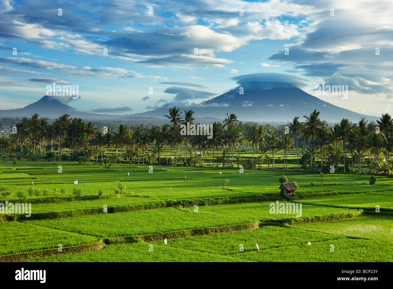 Les nuages de tempête au cours de la compensation pic volcanique de Gunnung Anung et les champs de riz, près de Ubud à l'aube, Bali, Indonésie Banque D'Images