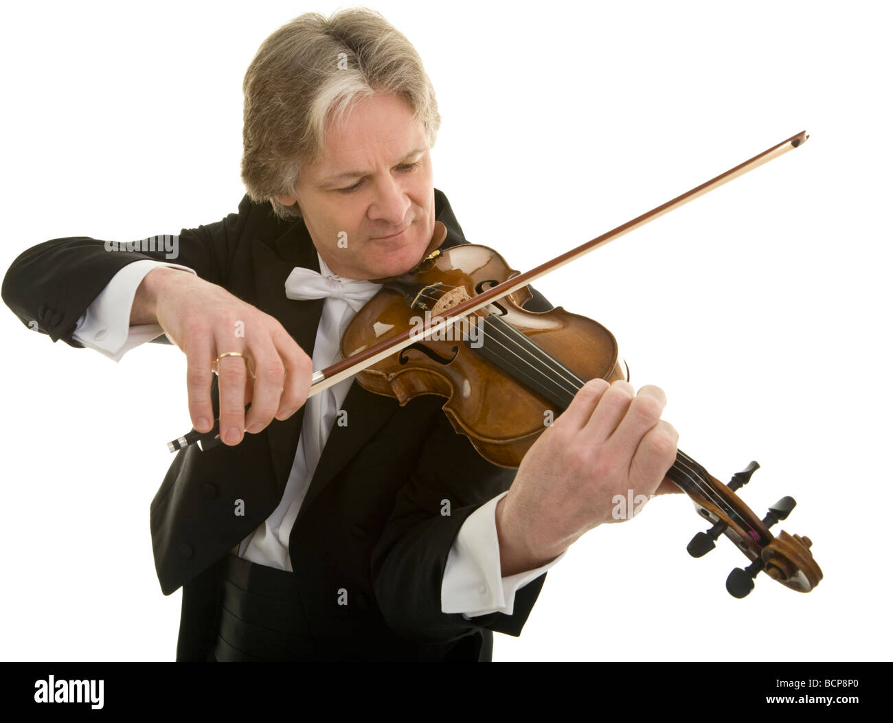 Eleganter Mann im spielt fracturation konzentriert Violine Banque D'Images