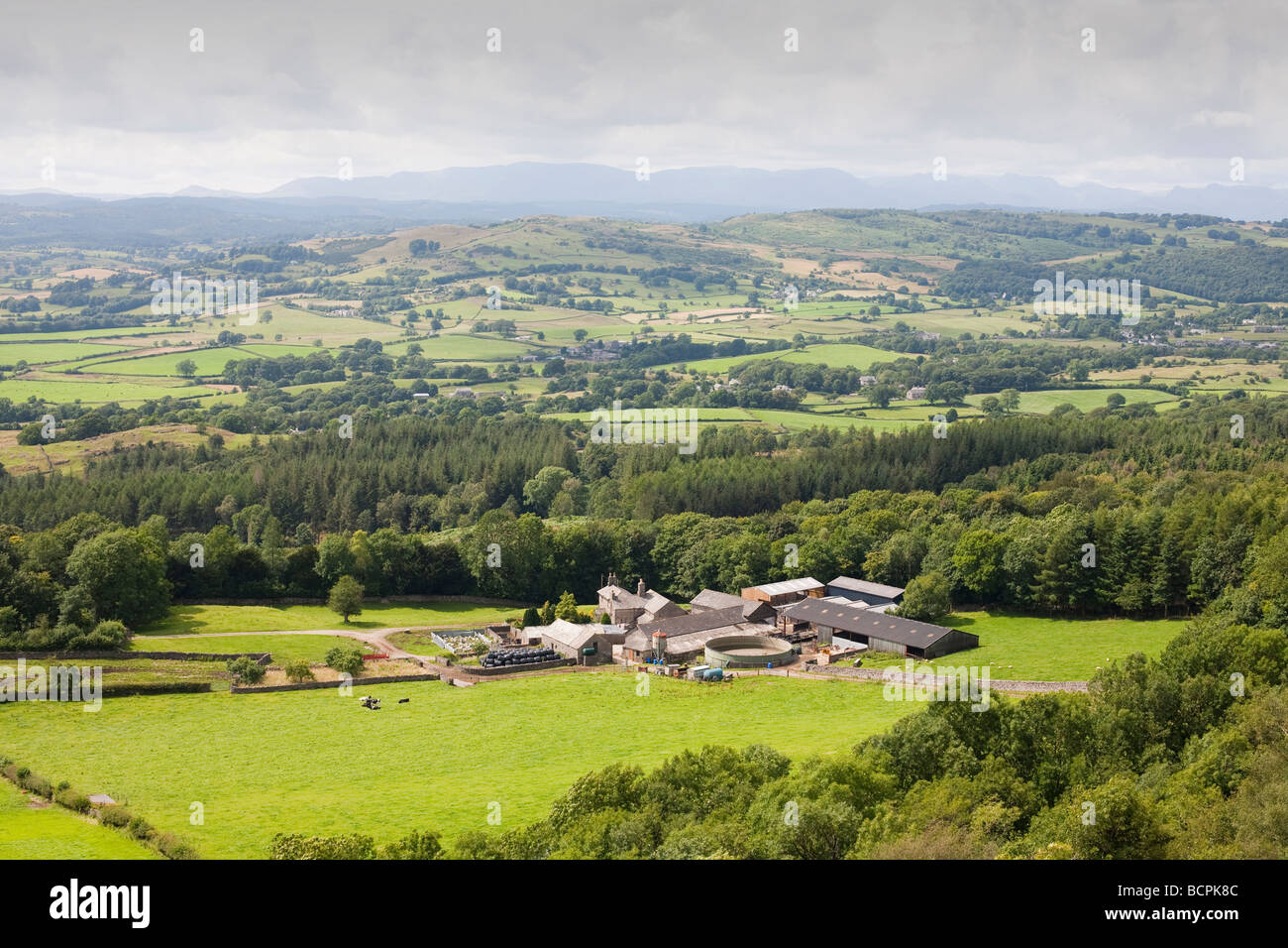 Barrowfield Farm en dessous du Scoutisme cicatrice sur la périphérie de Kendal en regardant vers le Lake District montagnes Cumbria UK Banque D'Images