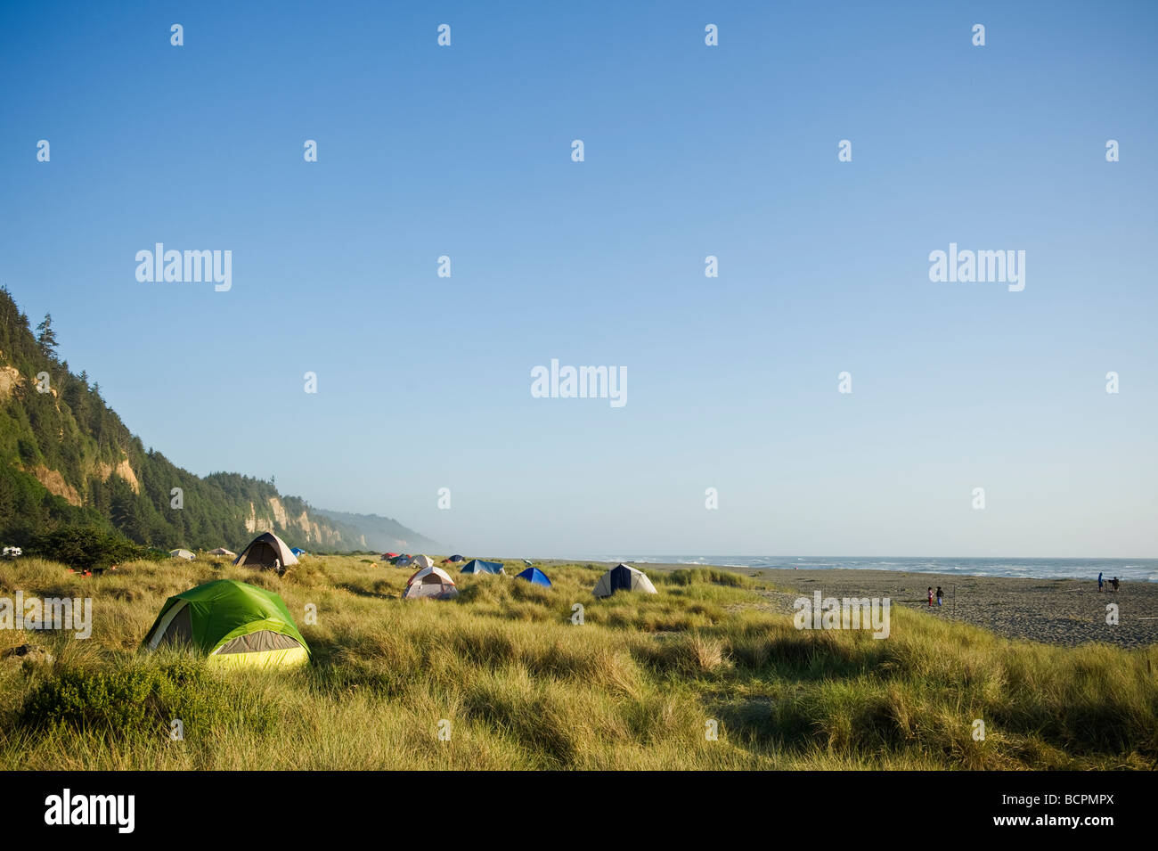 Camping tentes de dunes de sable de plage, falaises d'Or Prairie Creek Redwoods State Park, Californie Banque D'Images
