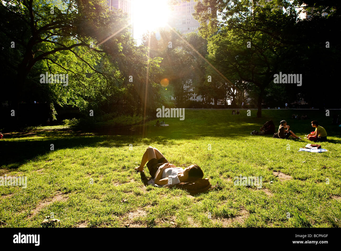 Femme dormir seul dans le soleil dans Central Park sur une chaude journée d'été à New York le 31 mai 2009 Banque D'Images