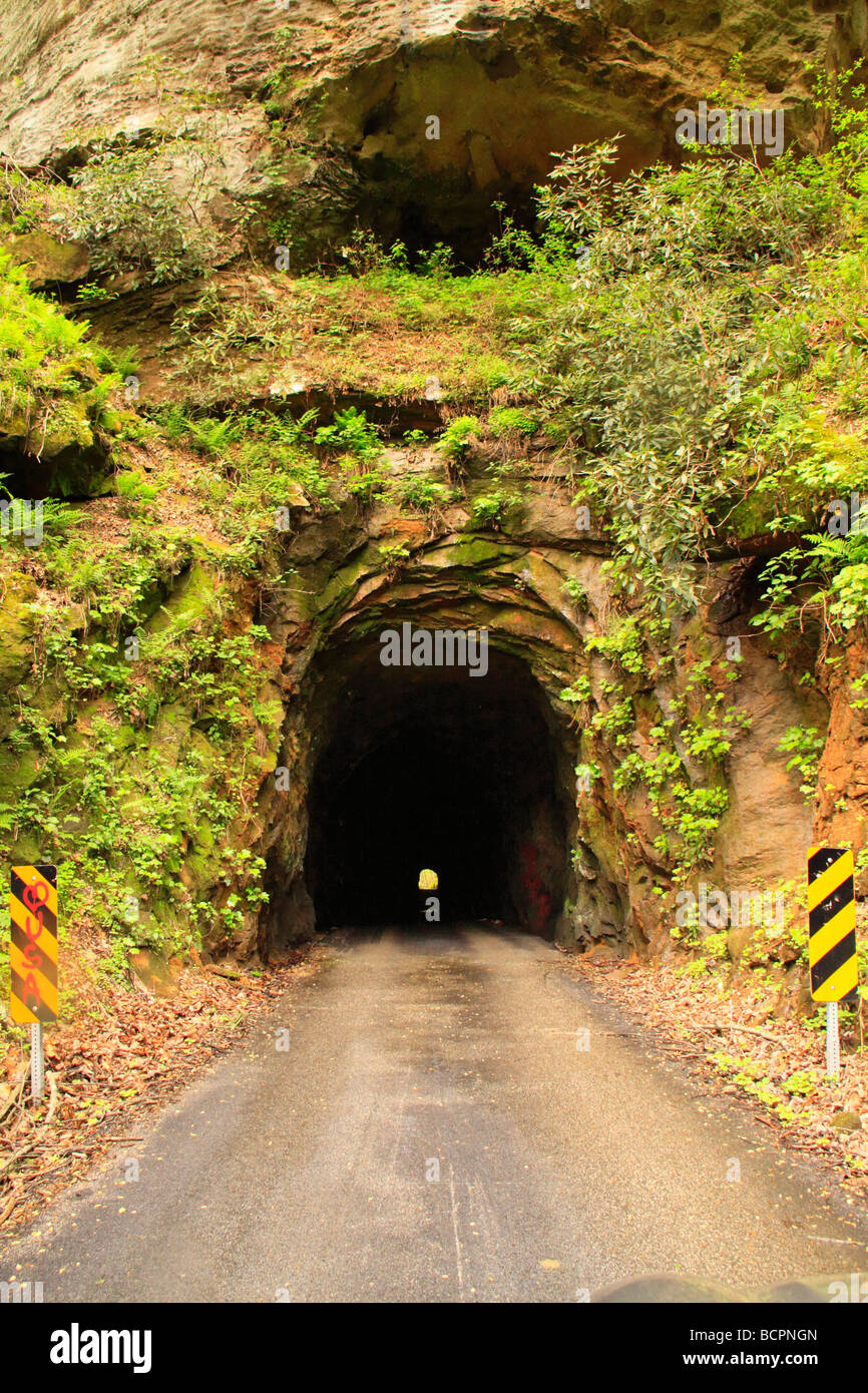 La de la rivière Rouge Tunnel Nada Scenic Byway Red River Kentucky Slade zone