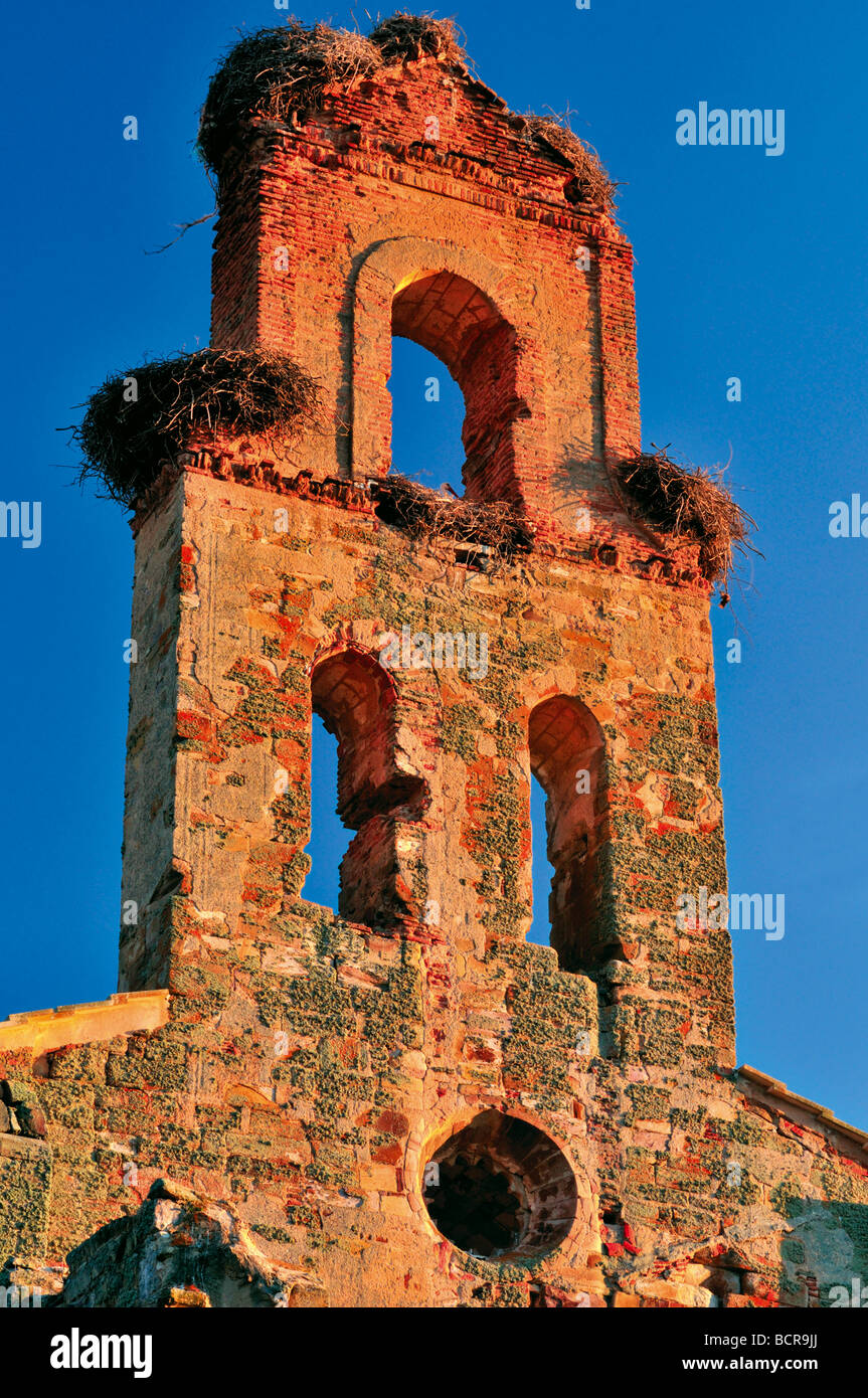 L'Espagne, la Via de la Plata : Tour avec nids de cigognes dans les ruines de l'ancien couvent Santa Maria de Moresruela Banque D'Images