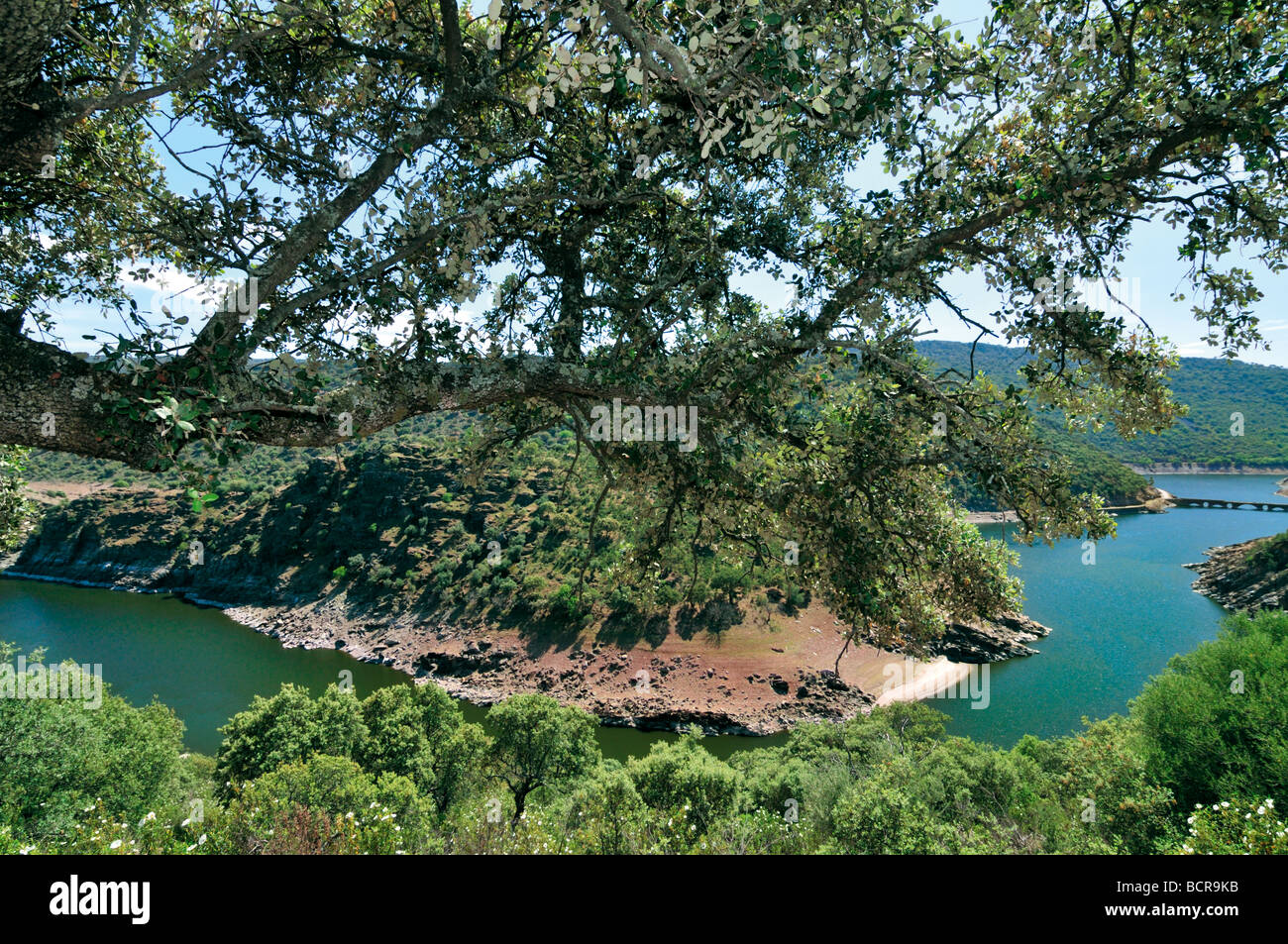L'Espagne, l'Estrémadure : Vue d'une courbe de tage (Tajo) au coeur de la Nature Park Monfragüe Banque D'Images