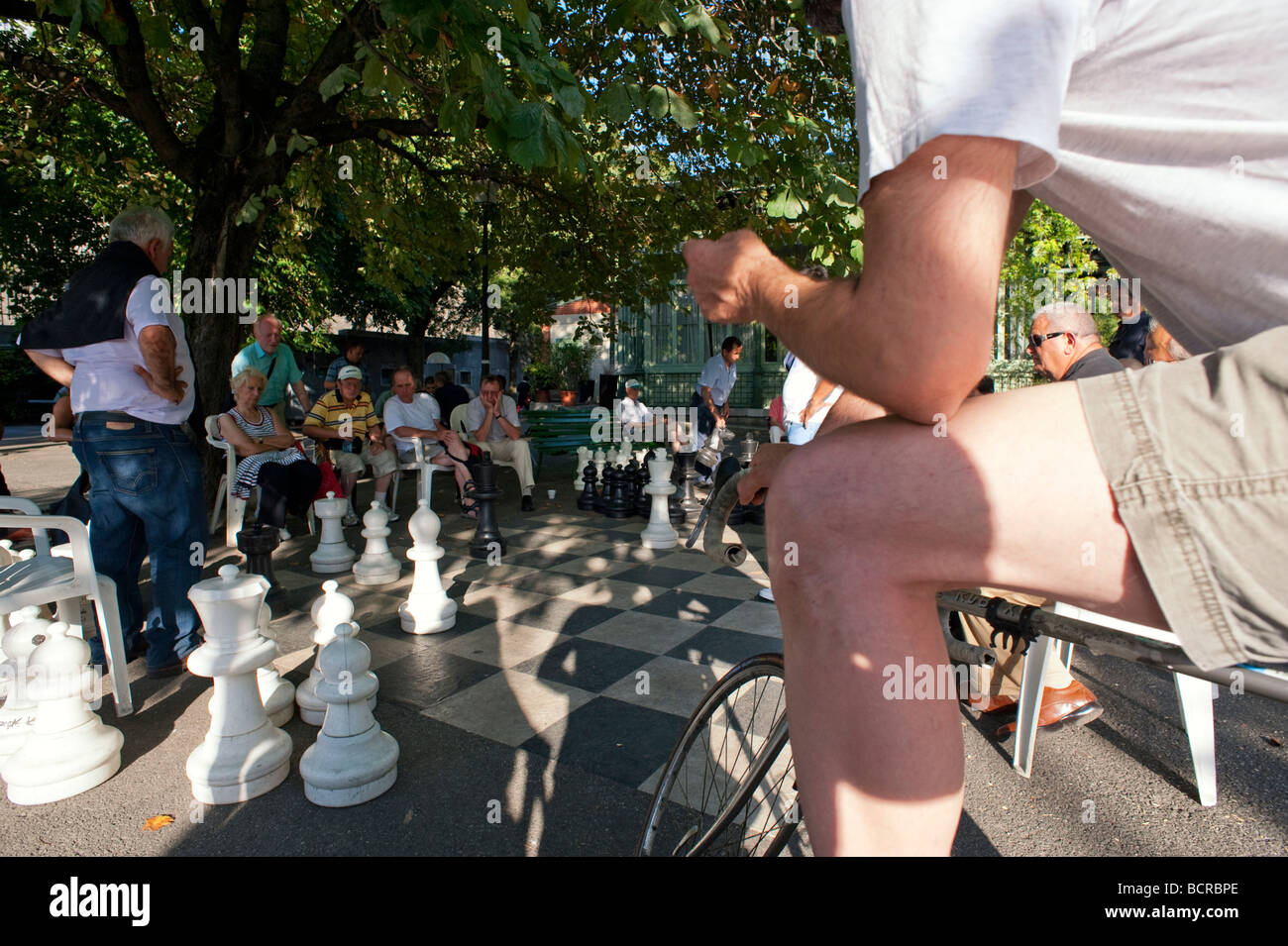 La Suisse, ville de Genève, des joueurs d'échecs dans le Parc Bertrand  Photo Stock - Alamy