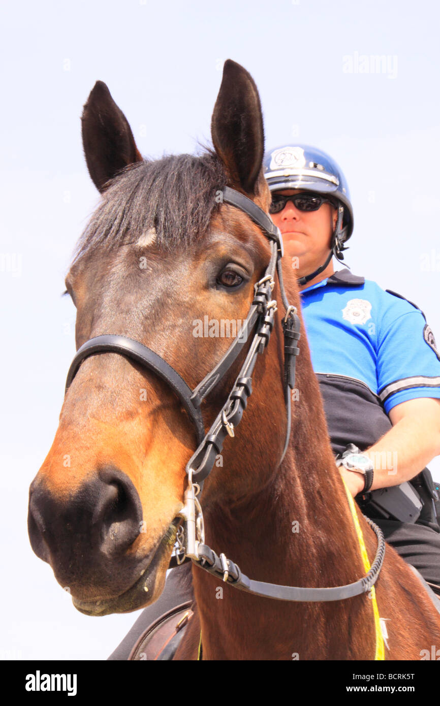 Policier à cheval Trois Jours Rolex Kentucky Horse Park Lexington Kentucky Banque D'Images