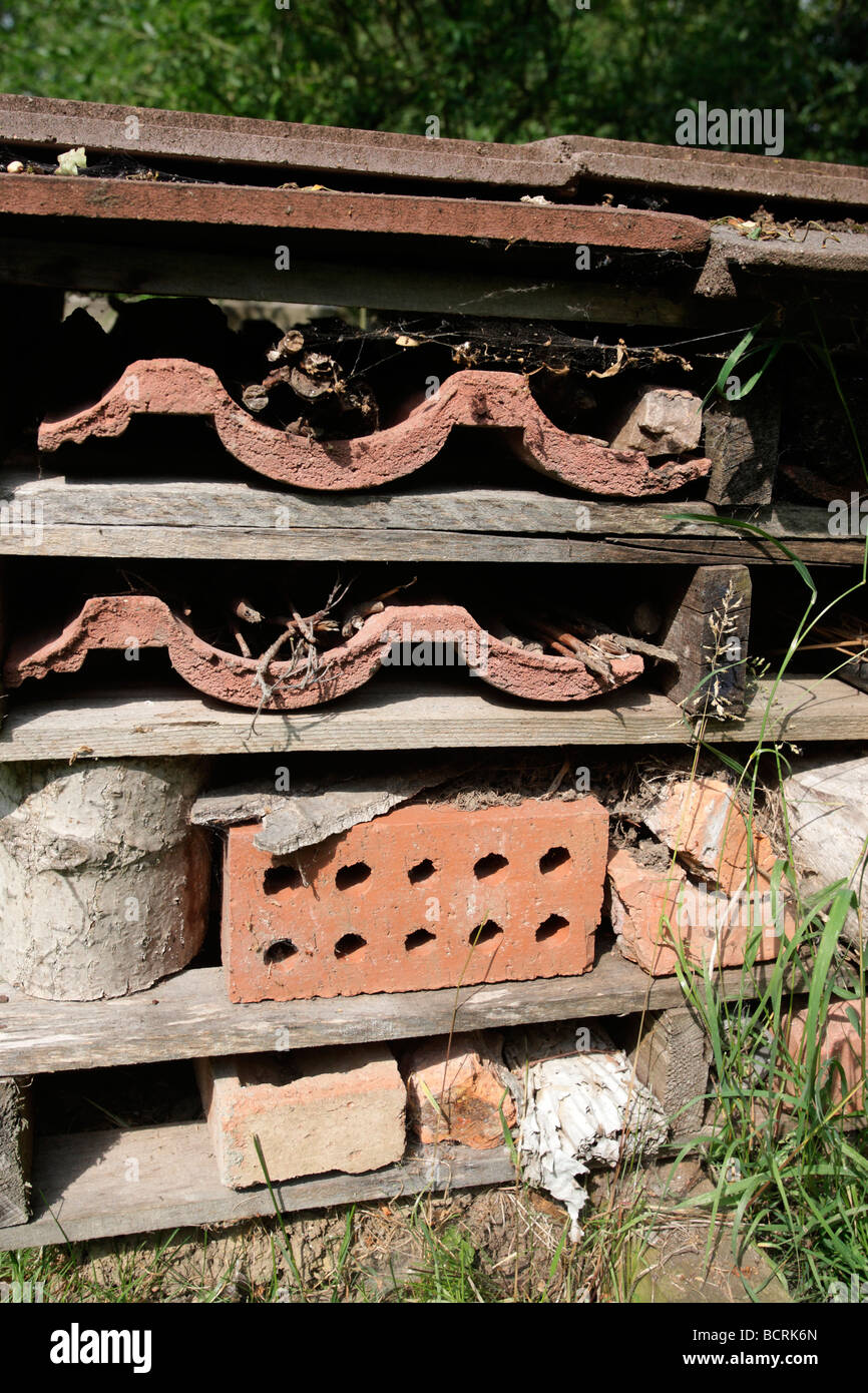 Reproduction des insectes de l'habitat par l'homme fort de l'été 2009 Bedfordshire Banque D'Images