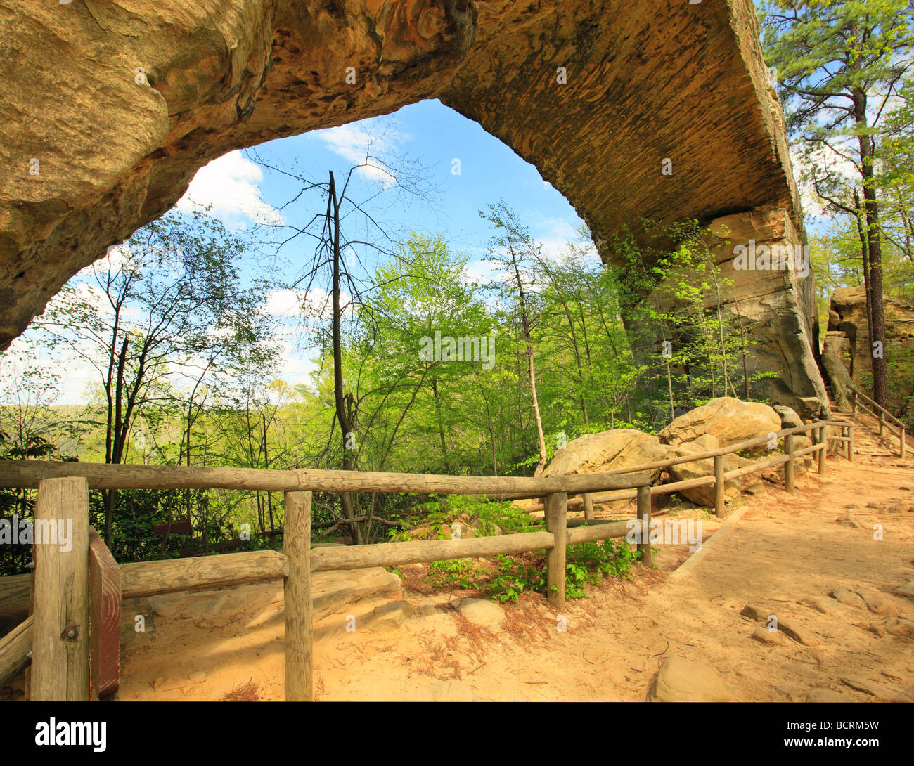 Sentier au bas de la passerelle naturelle Natural Bridge State Resort Park Slade Kentucky Banque D'Images