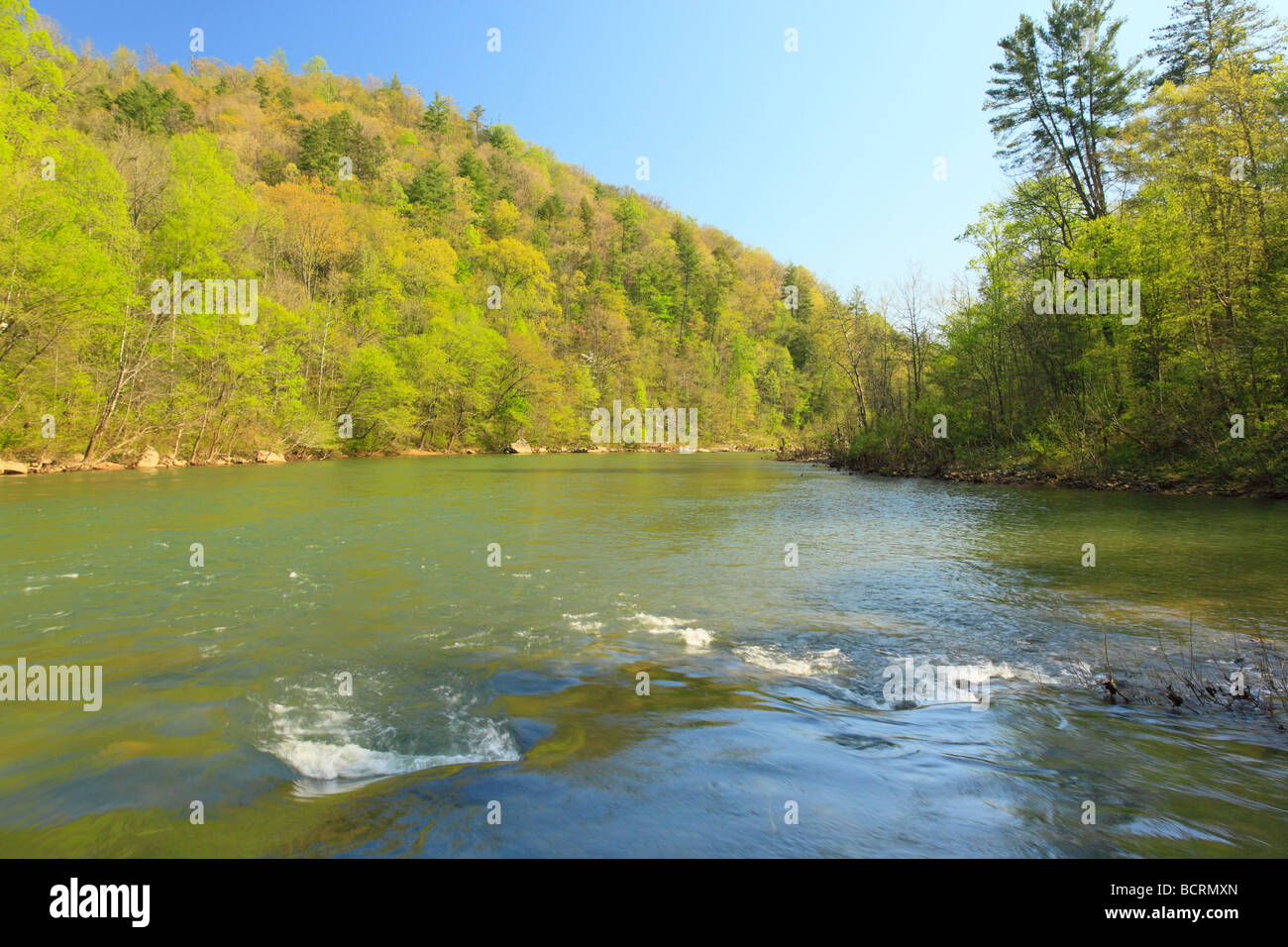 Leatherwood Ford Grand Rivière Cumberland South Fork River National Recreation Area et l'Oneida Florida Banque D'Images
