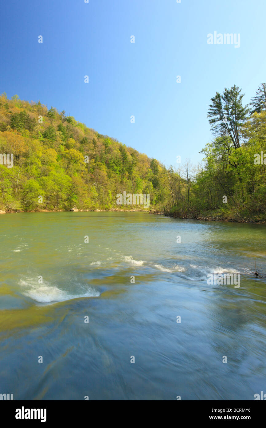 Leatherwood Ford Grand Rivière Cumberland South Fork River National Recreation Area et l'Oneida Florida Banque D'Images